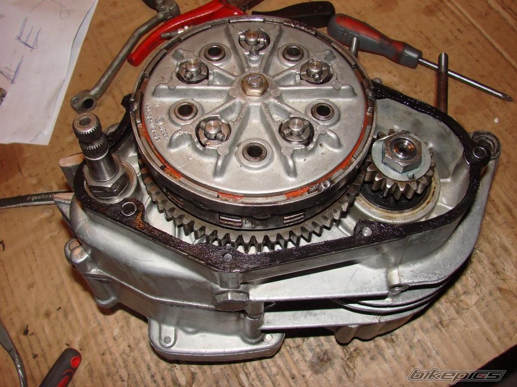 Photo 2547452