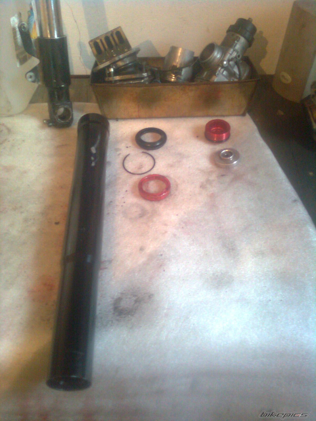 Photo 2547456