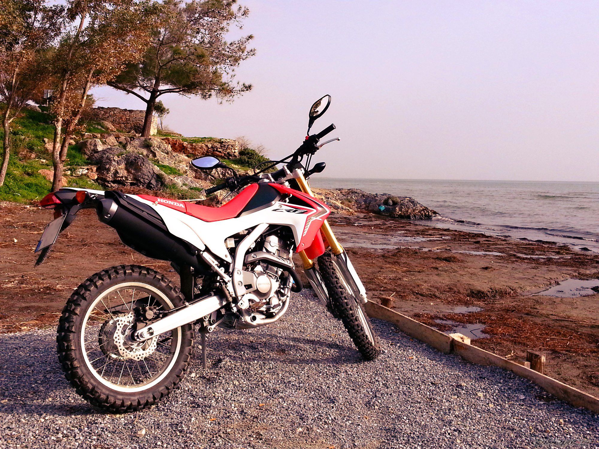 Photo 2547467