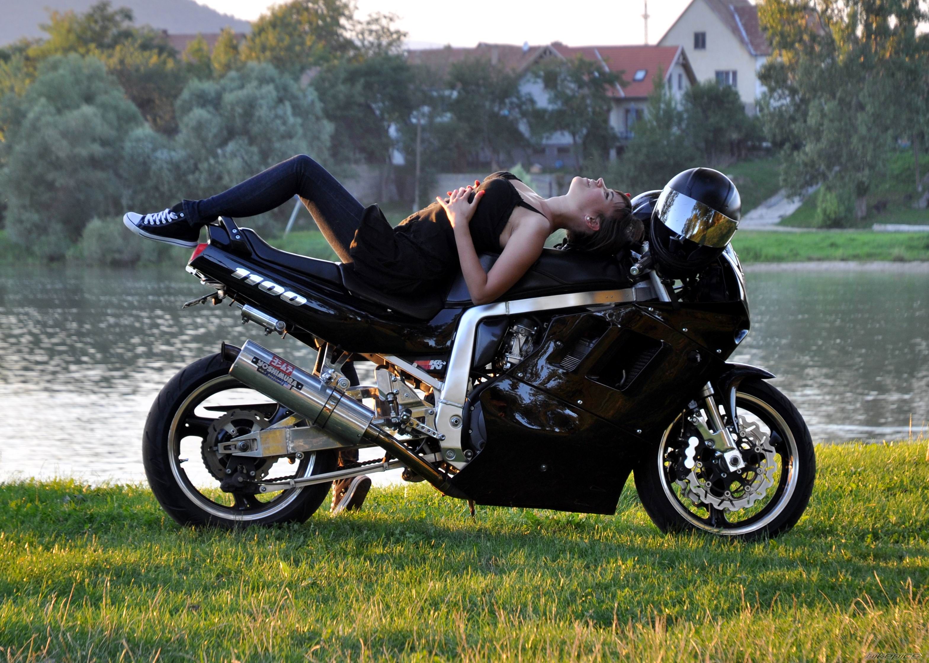 Photo 2547629