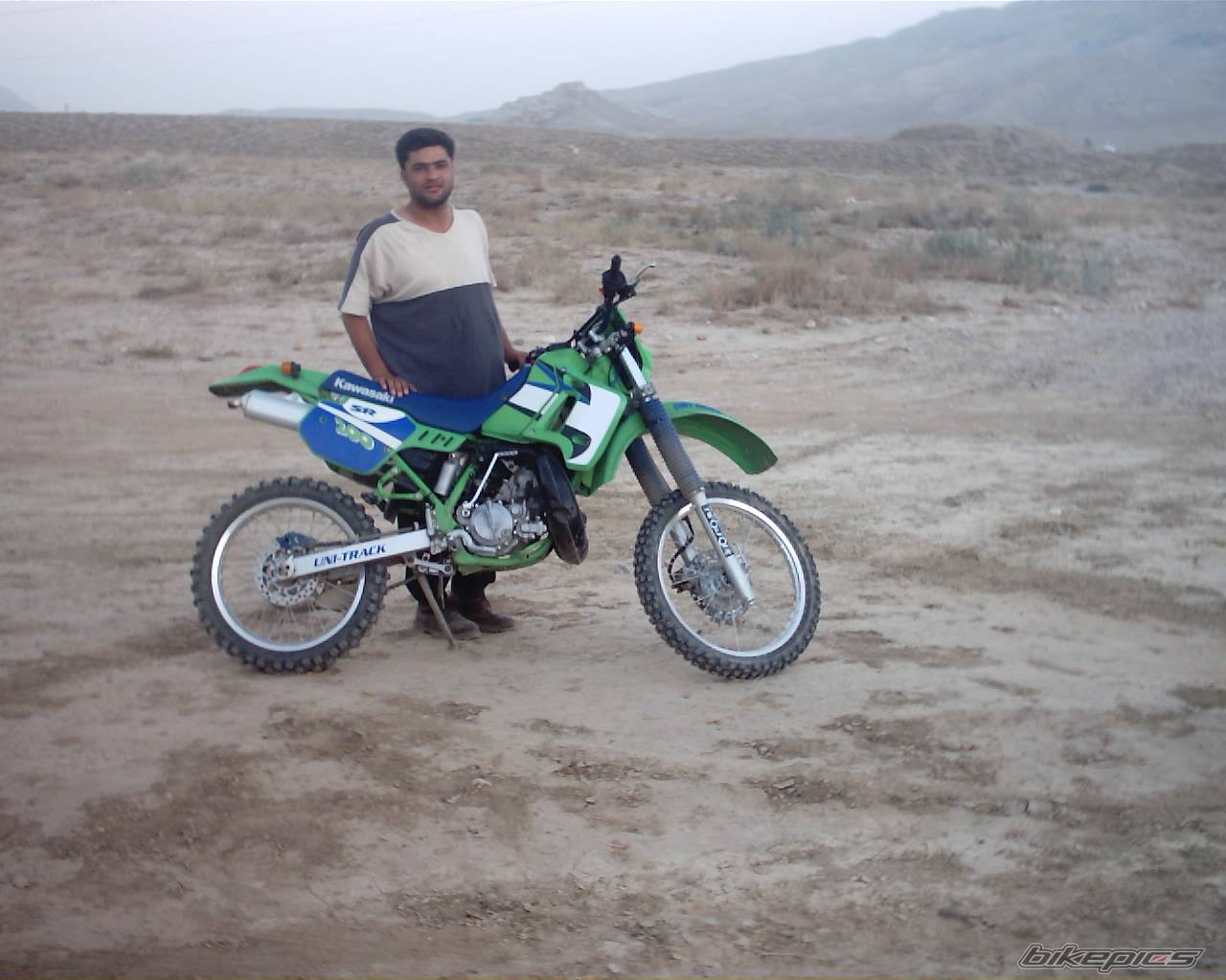 Photo 254769