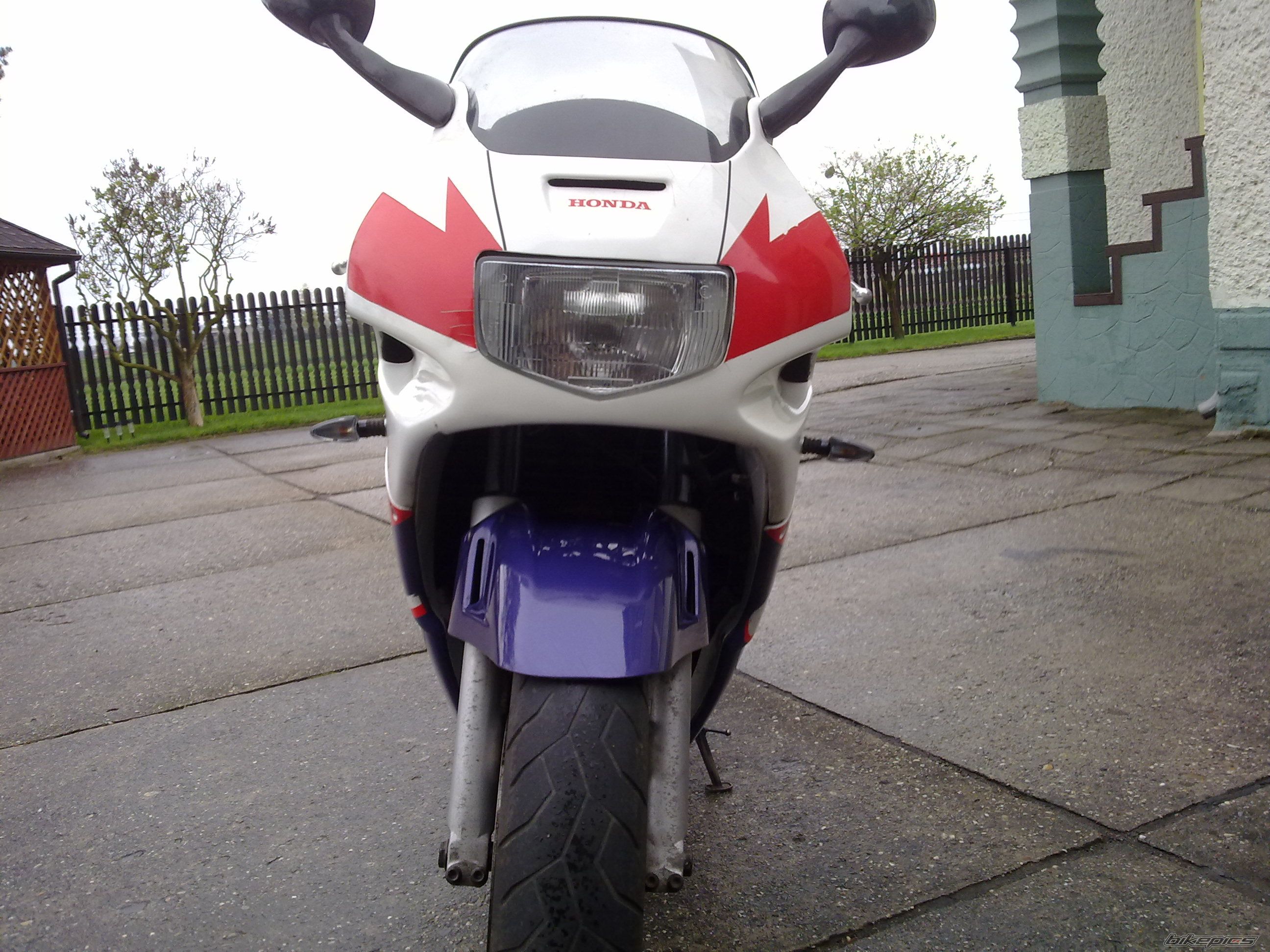 Photo 2547690