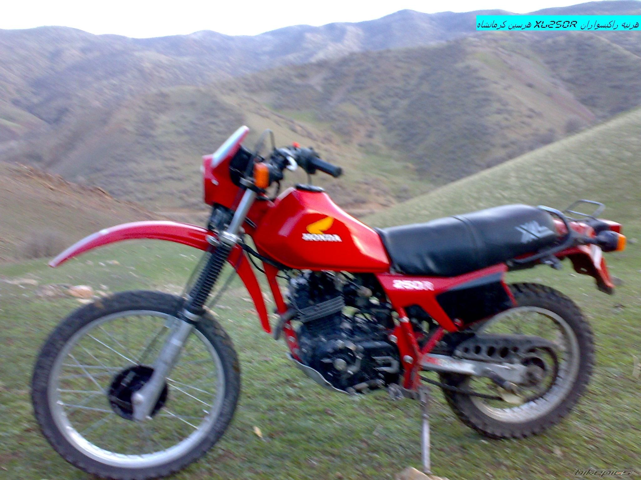 Photo 2547728