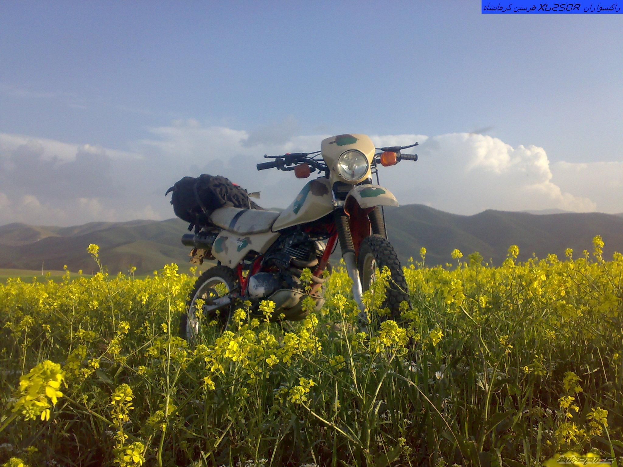 Photo 2547732