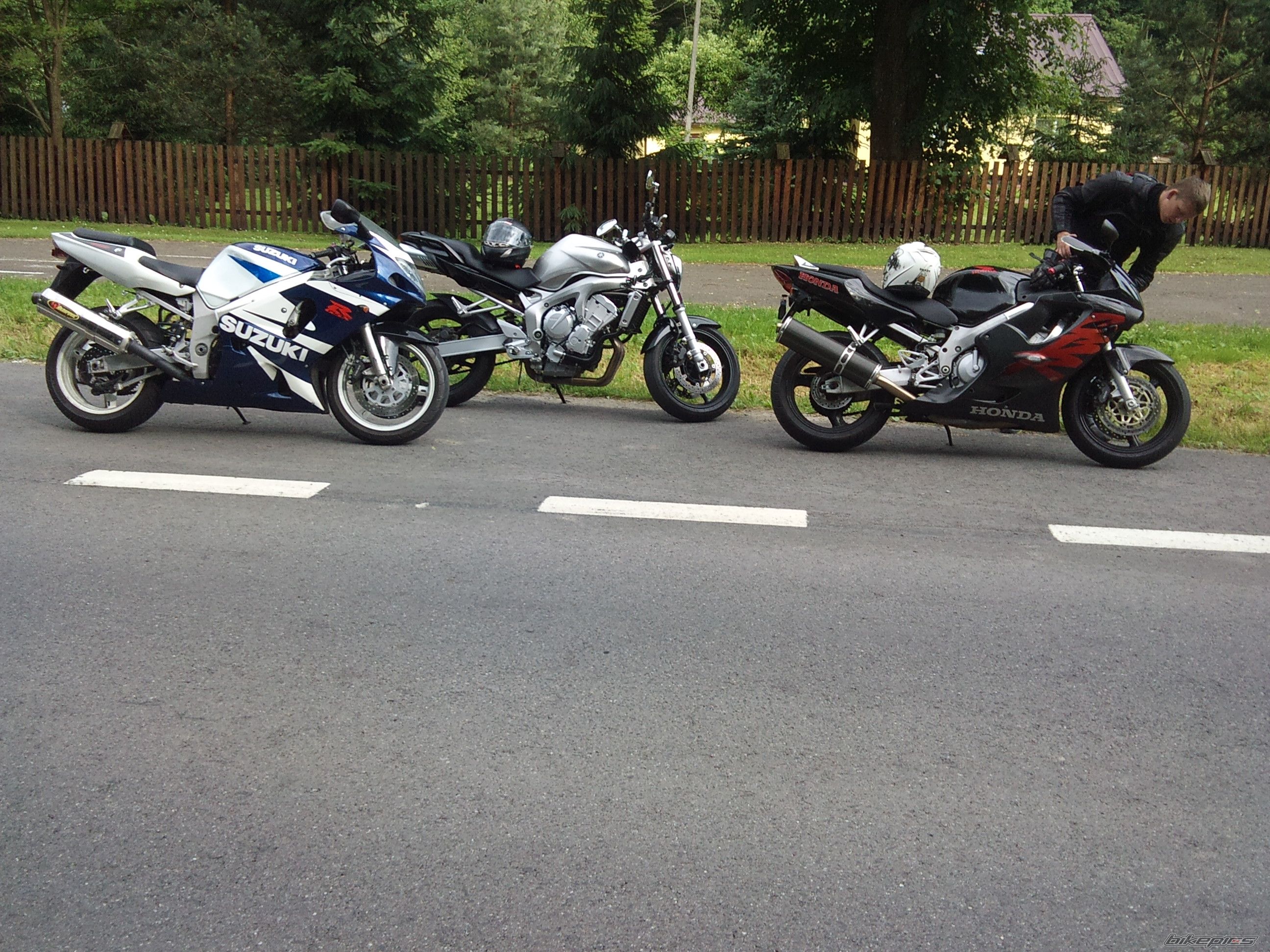 Photo 2547739