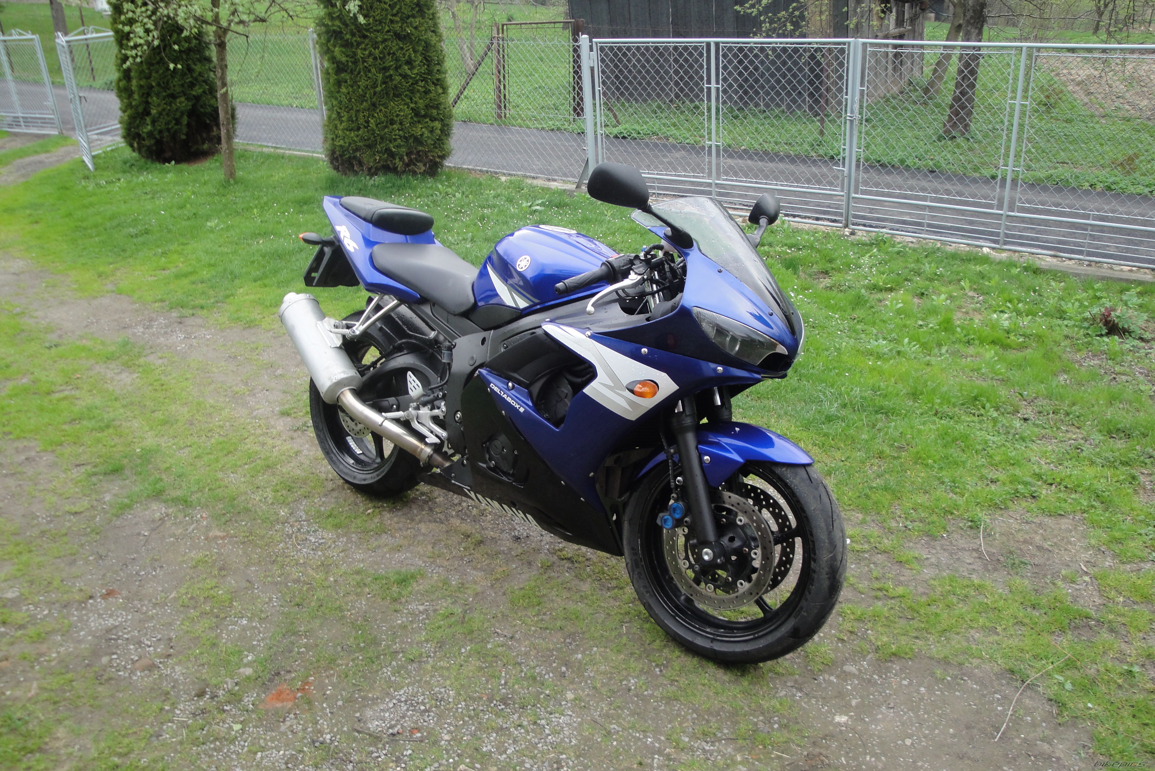 Photo 2547742