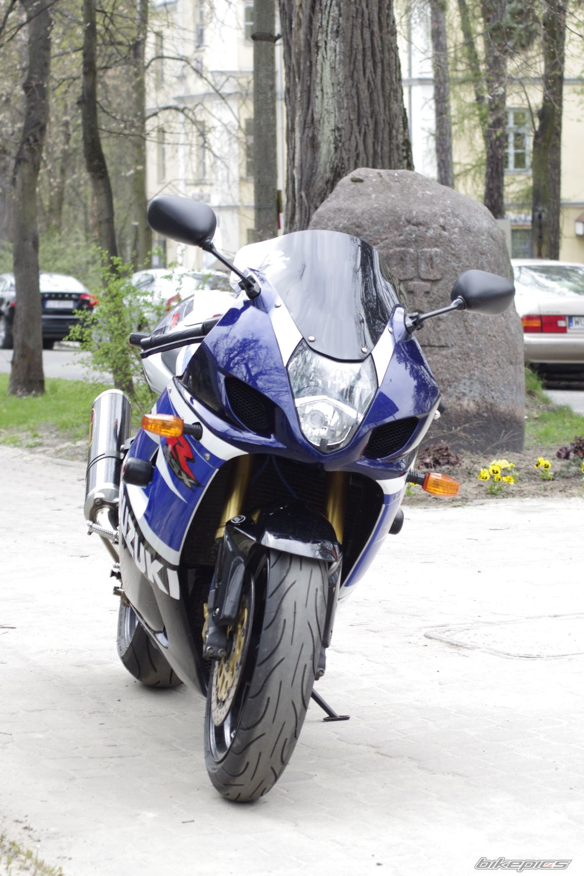 Photo 2547759