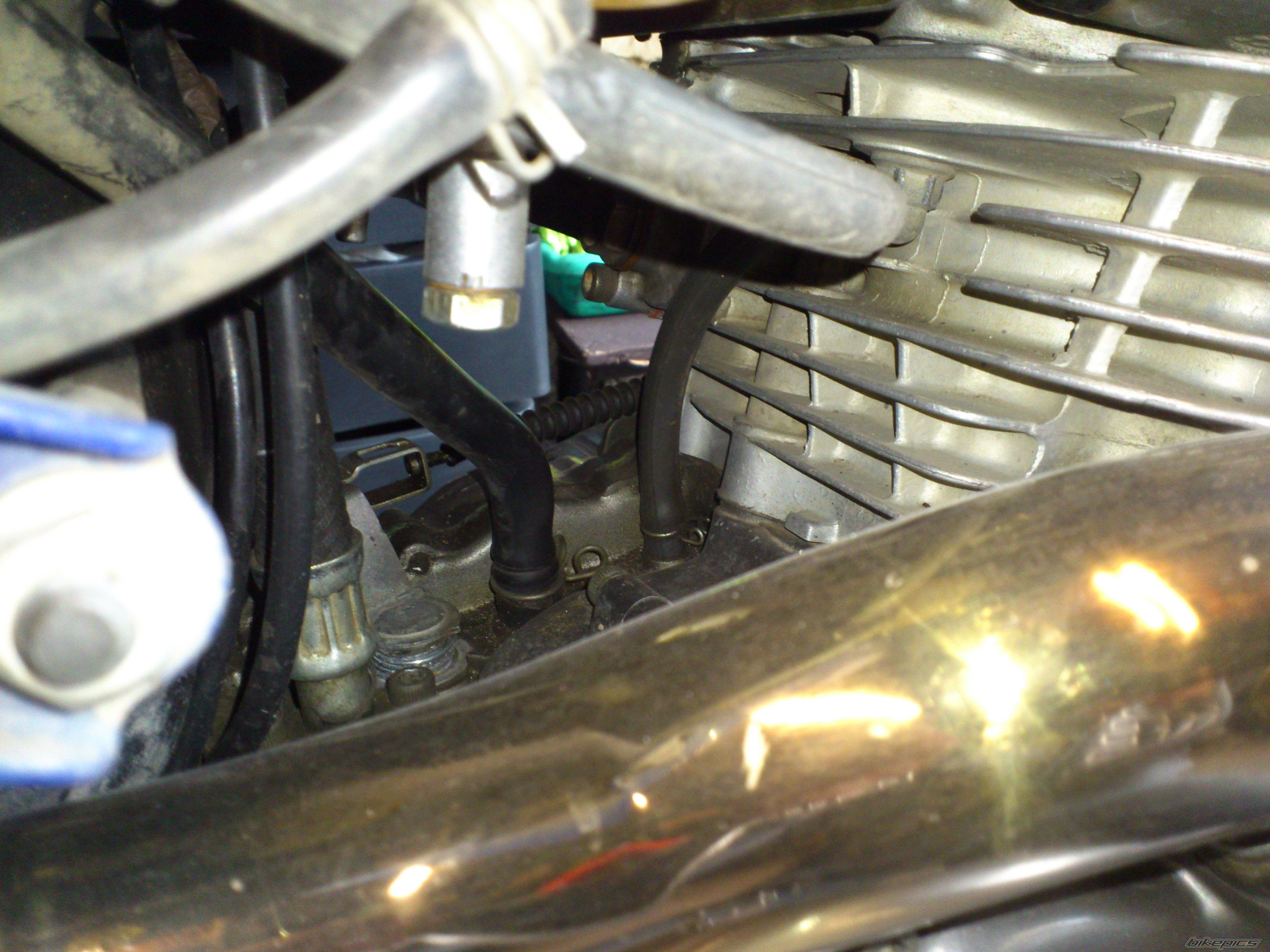 Photo 2547825