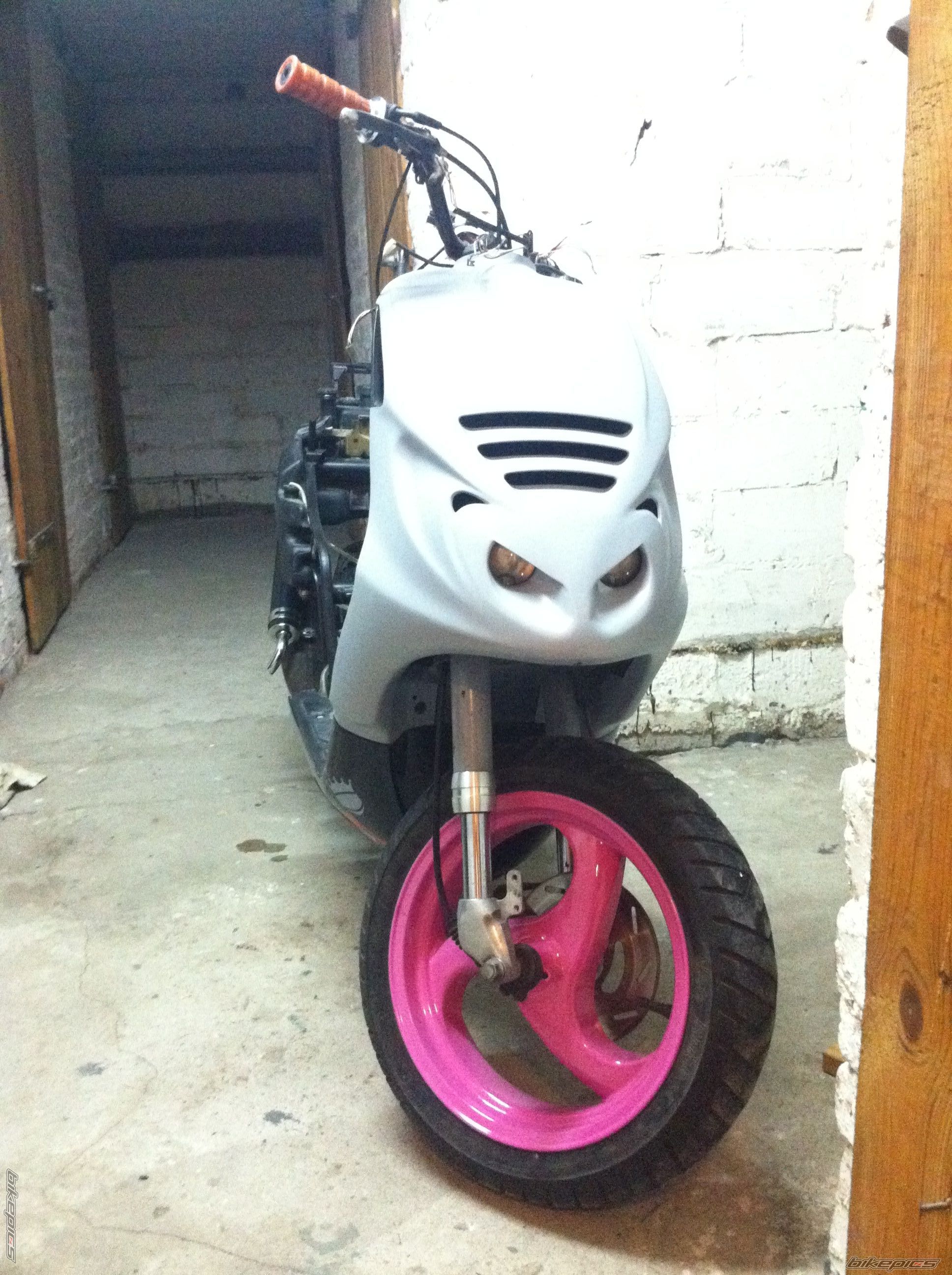 Photo 2547886