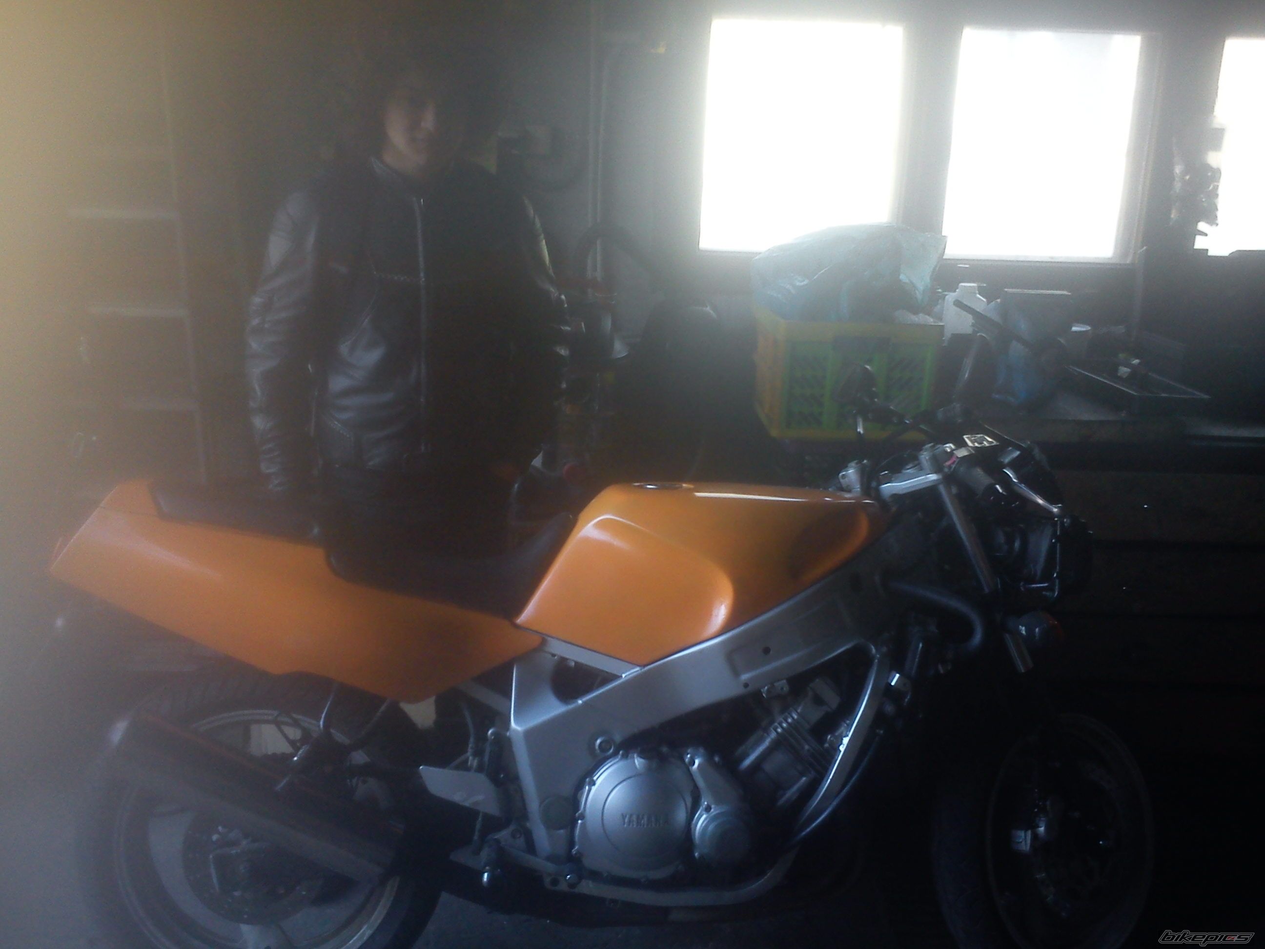Photo 2547976