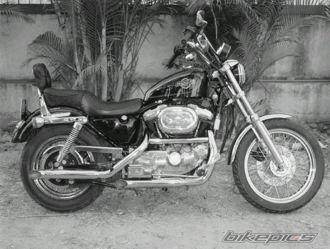 Photo 254798