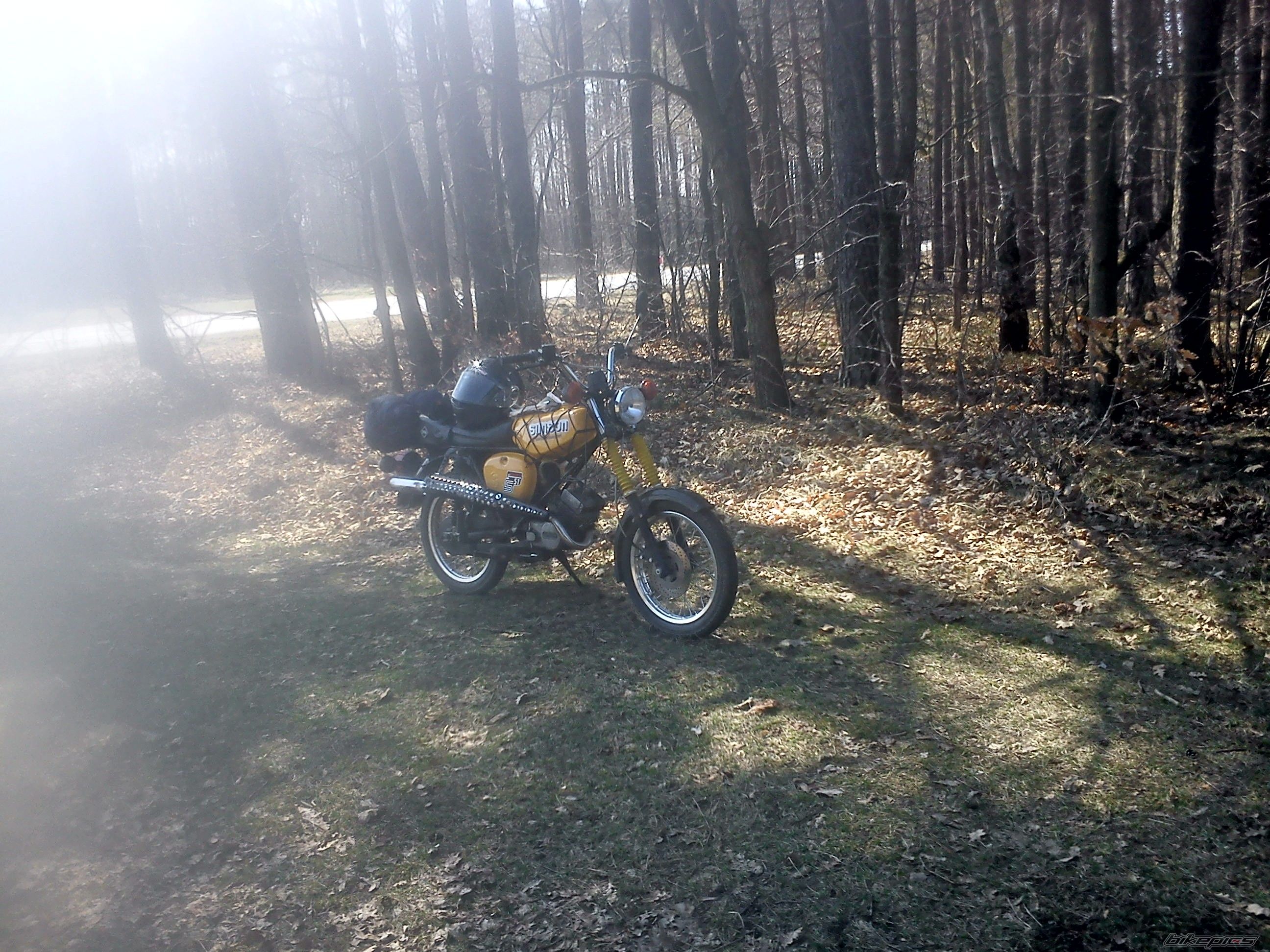 Photo 2547985