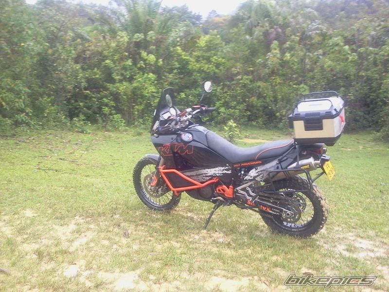 Photo 2548050