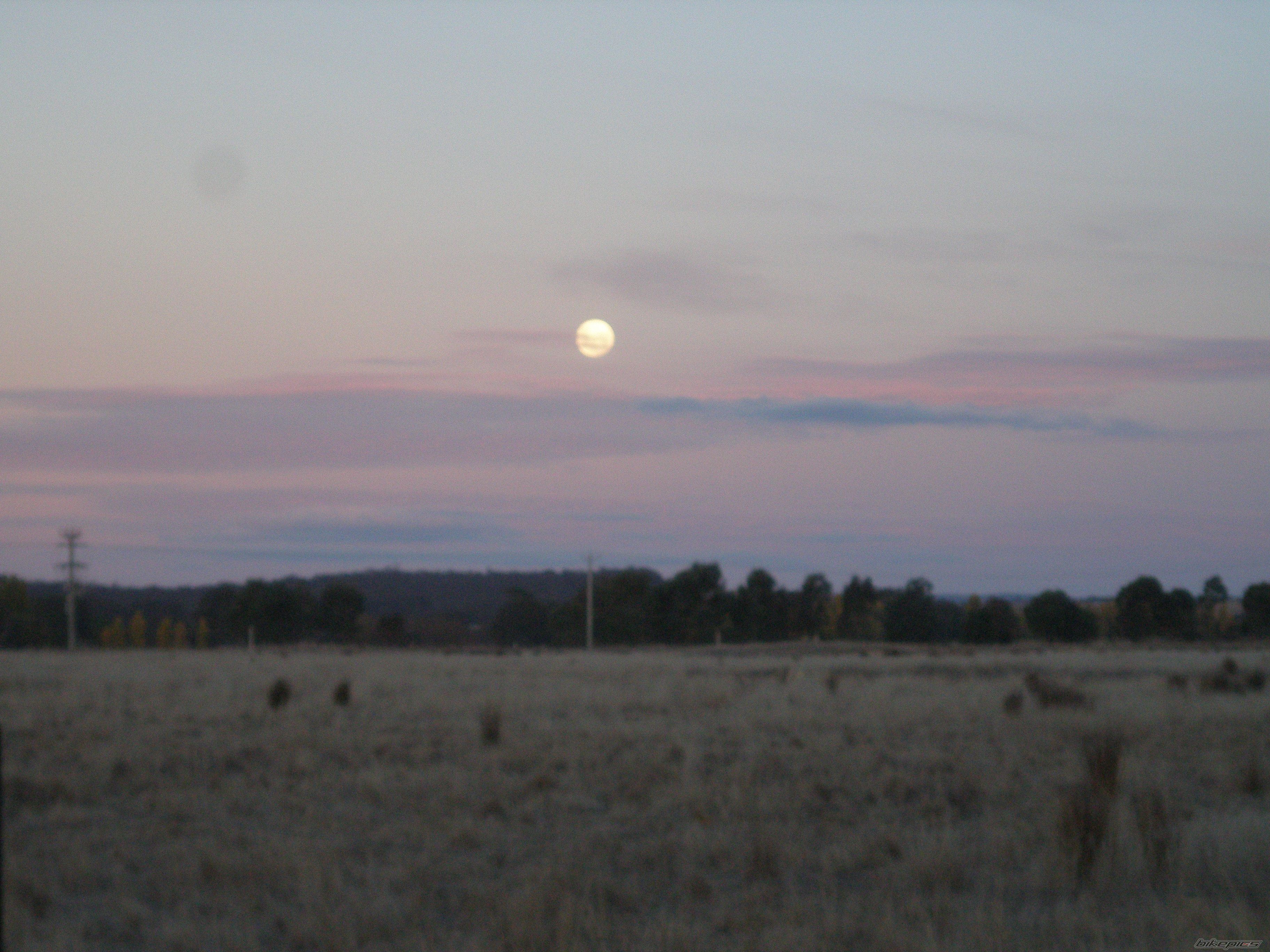 Photo 2548112
