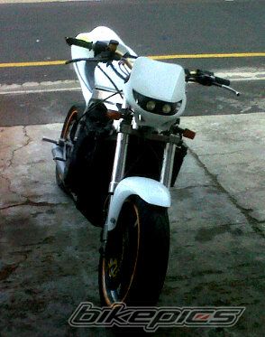Photo 2548190