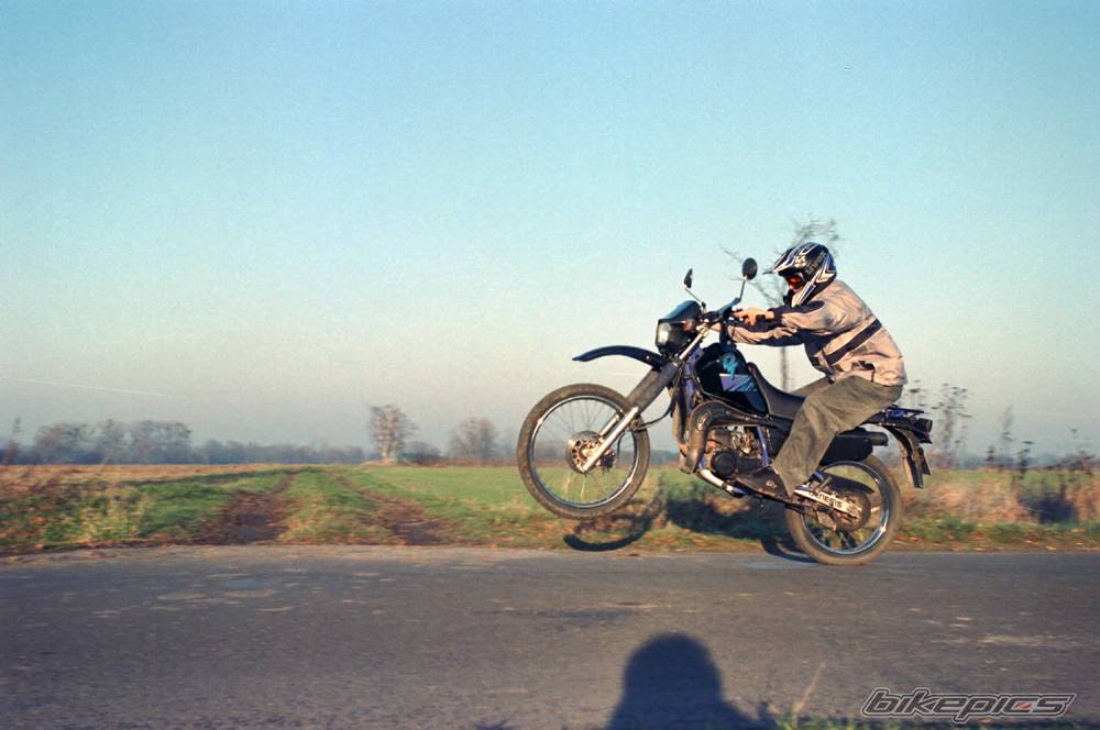 Photo 254822