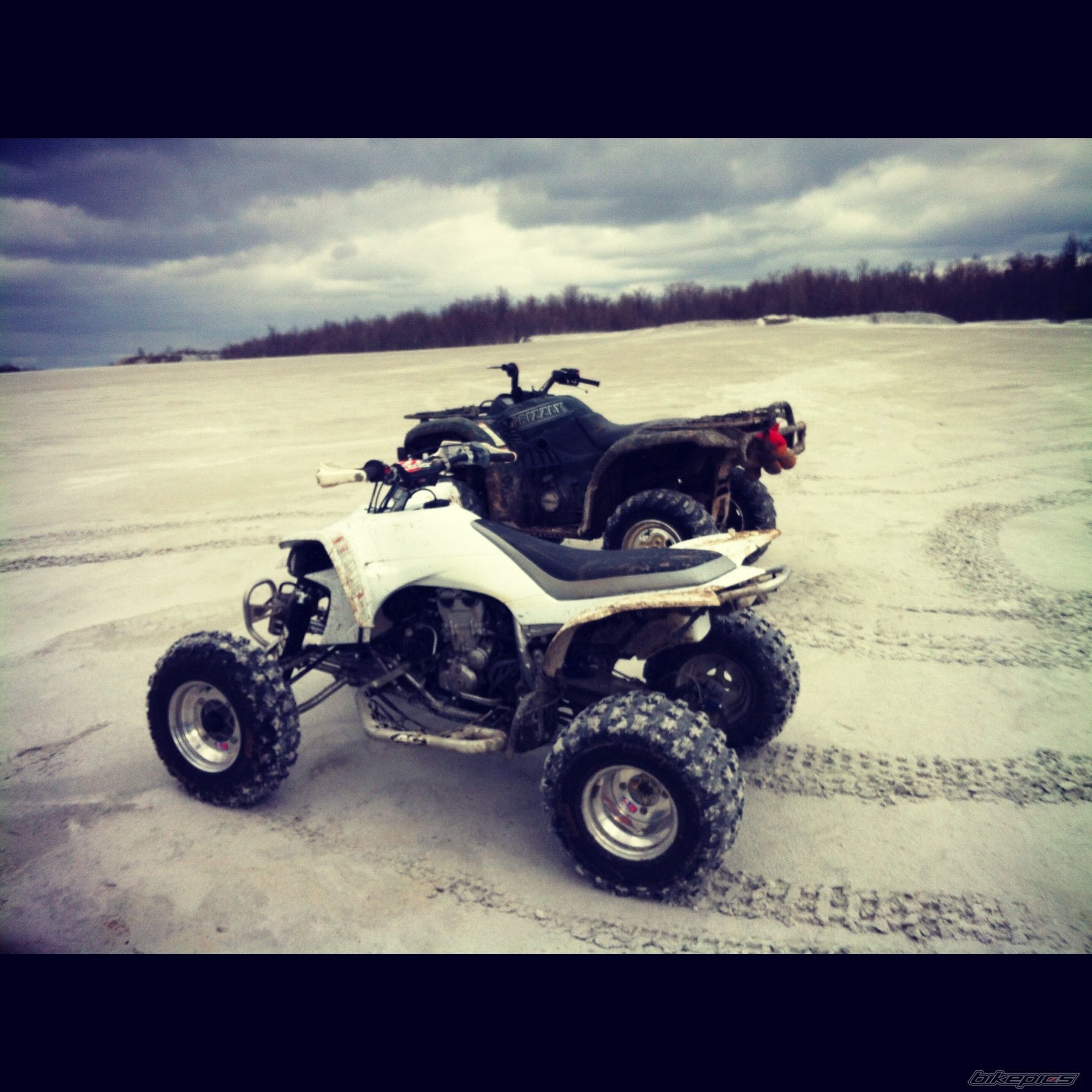 Photo 2548245