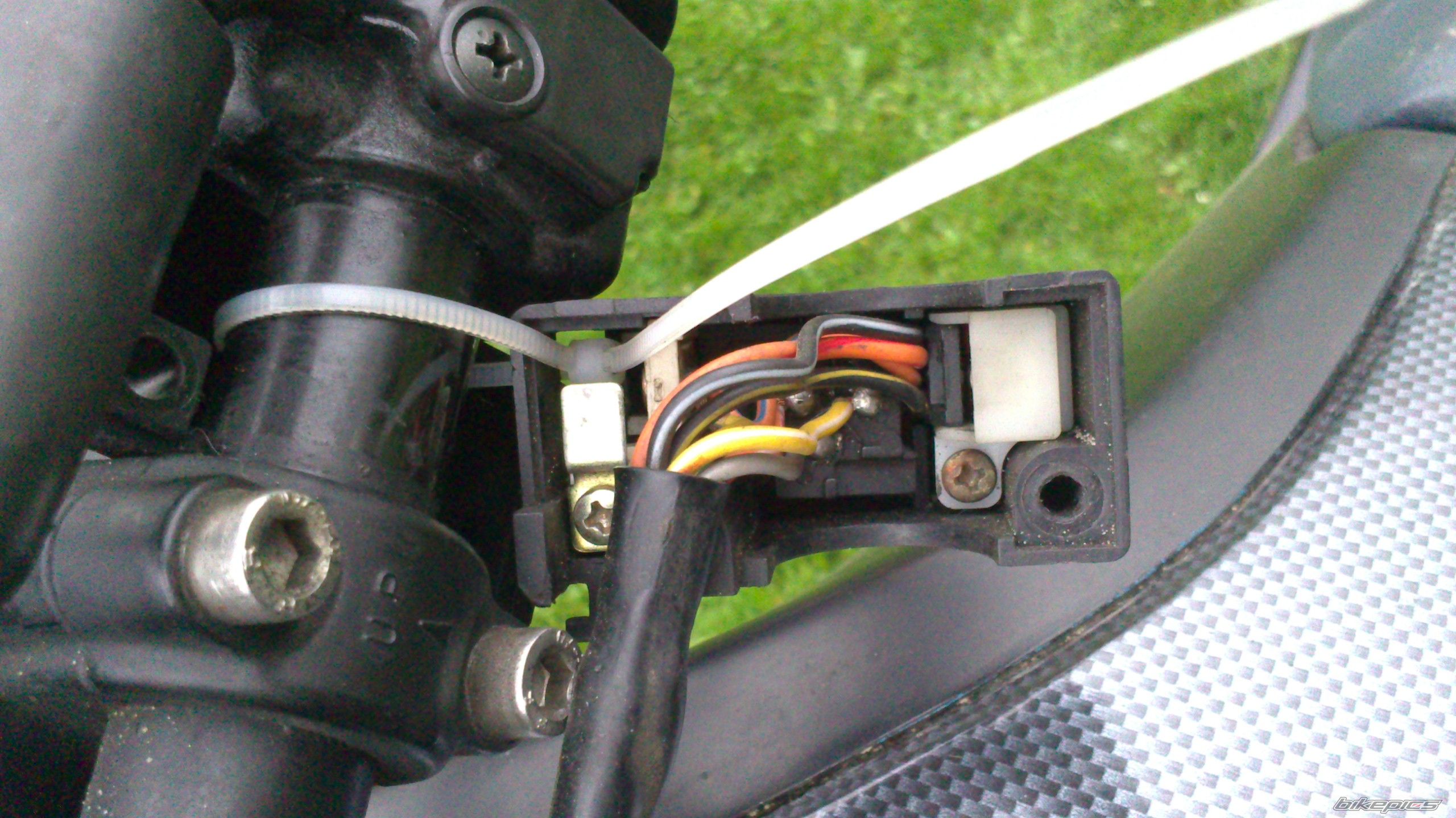 Photo 2548279