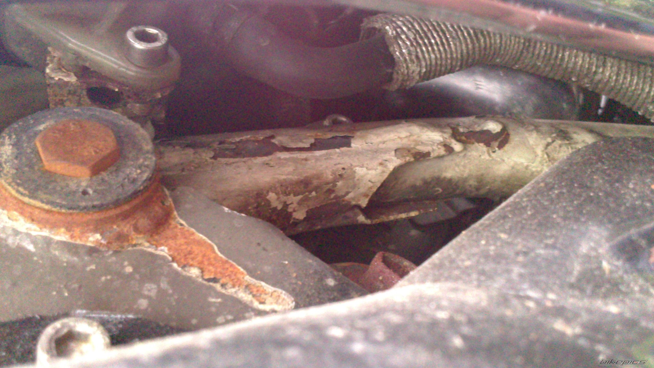 Photo 2548280