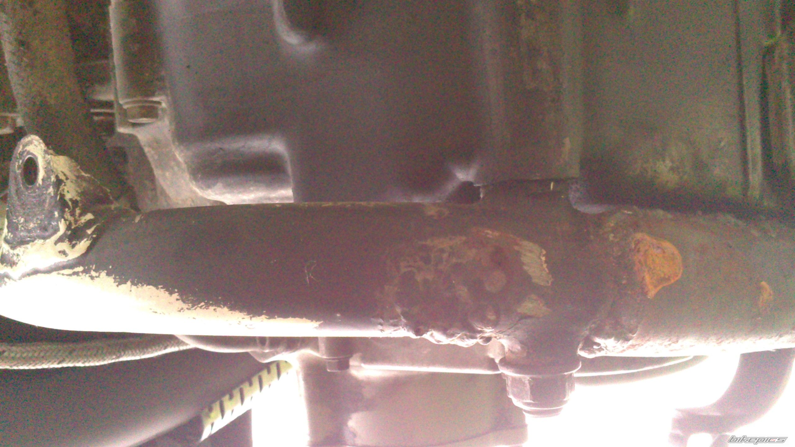 Photo 2548283
