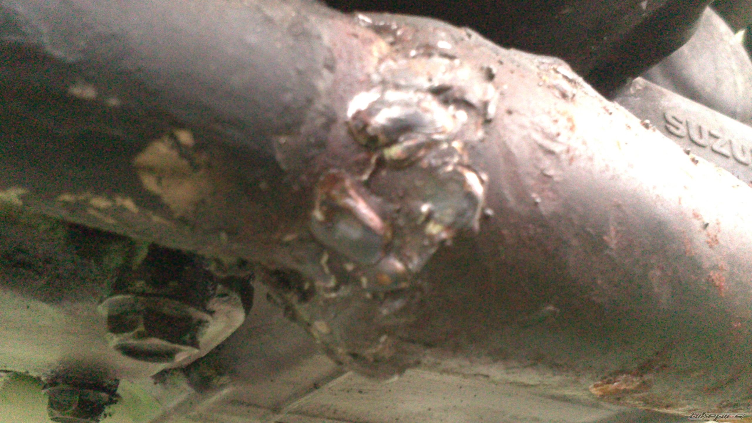 Photo 2548284