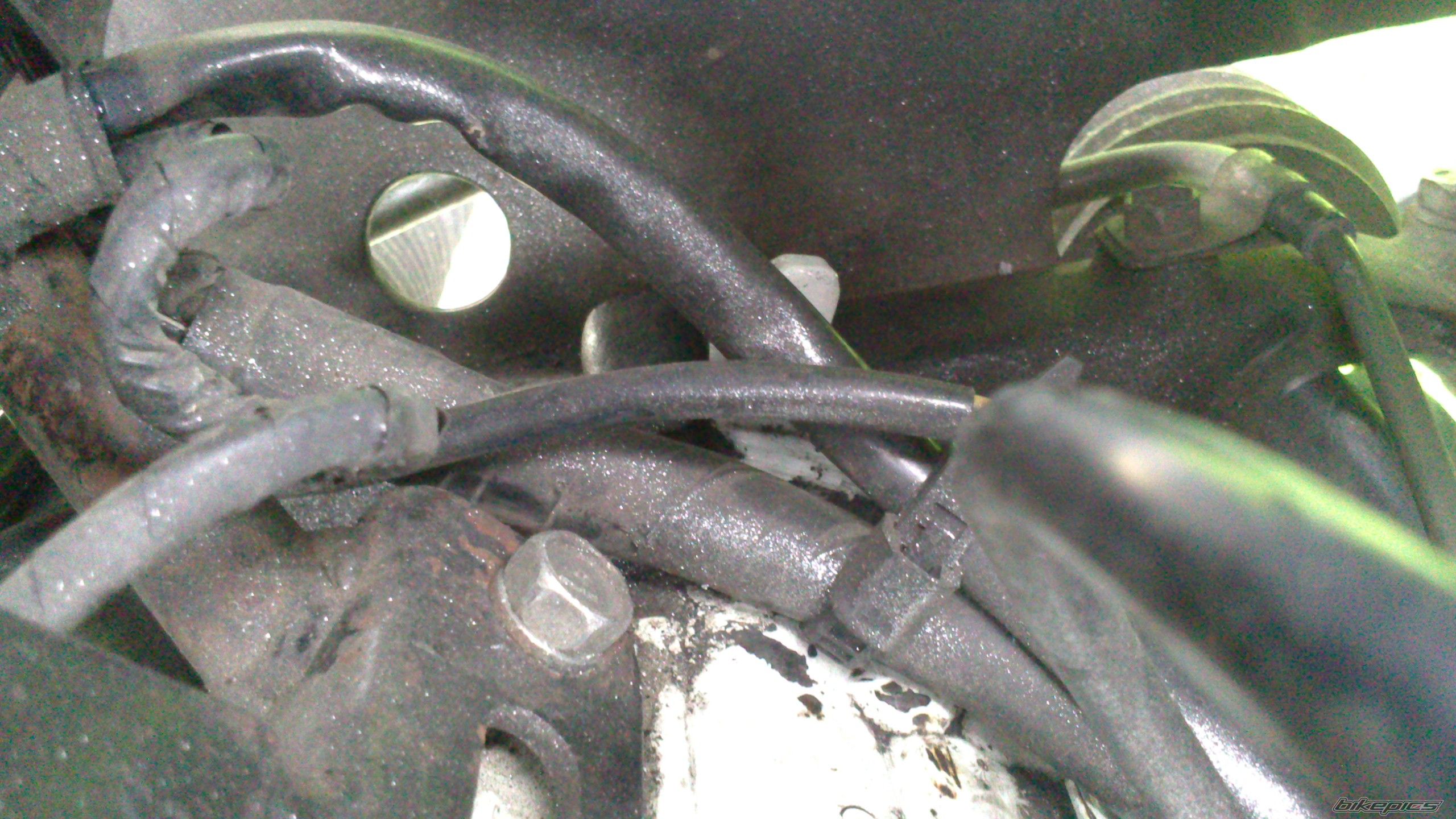 Photo 2548290