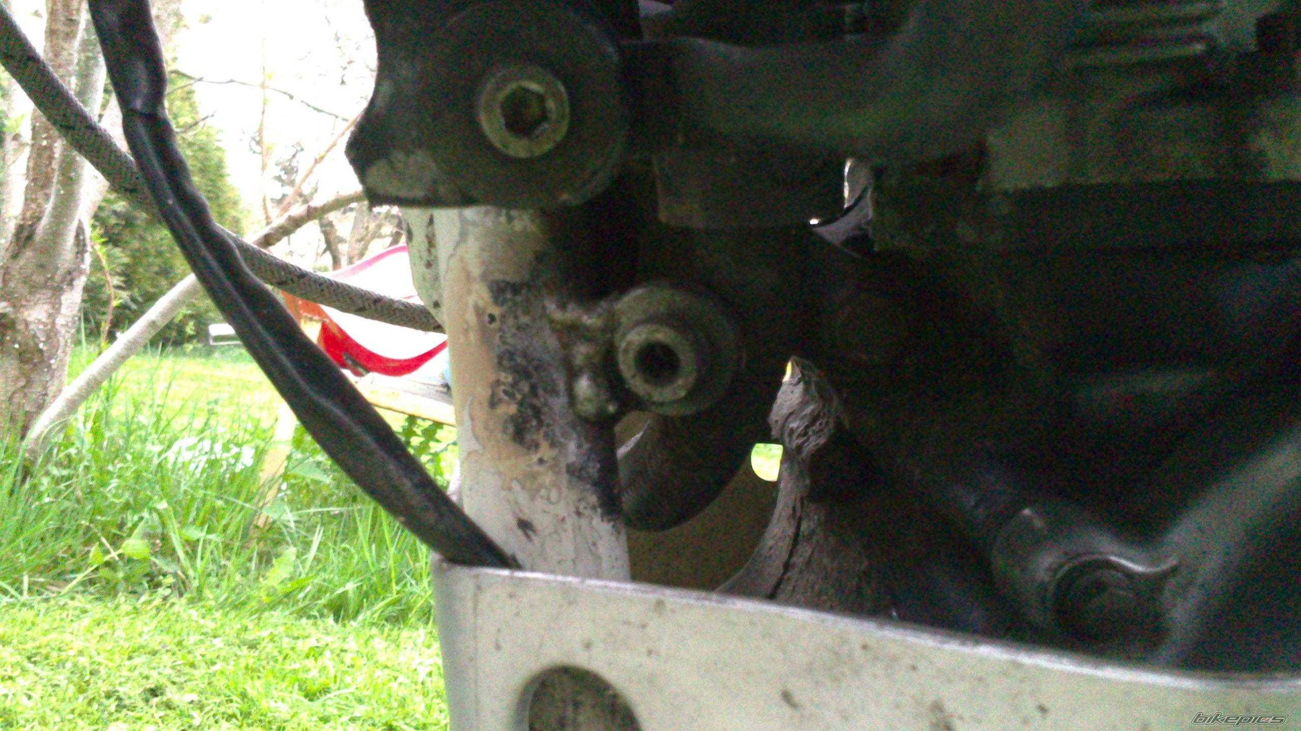 Photo 2548291