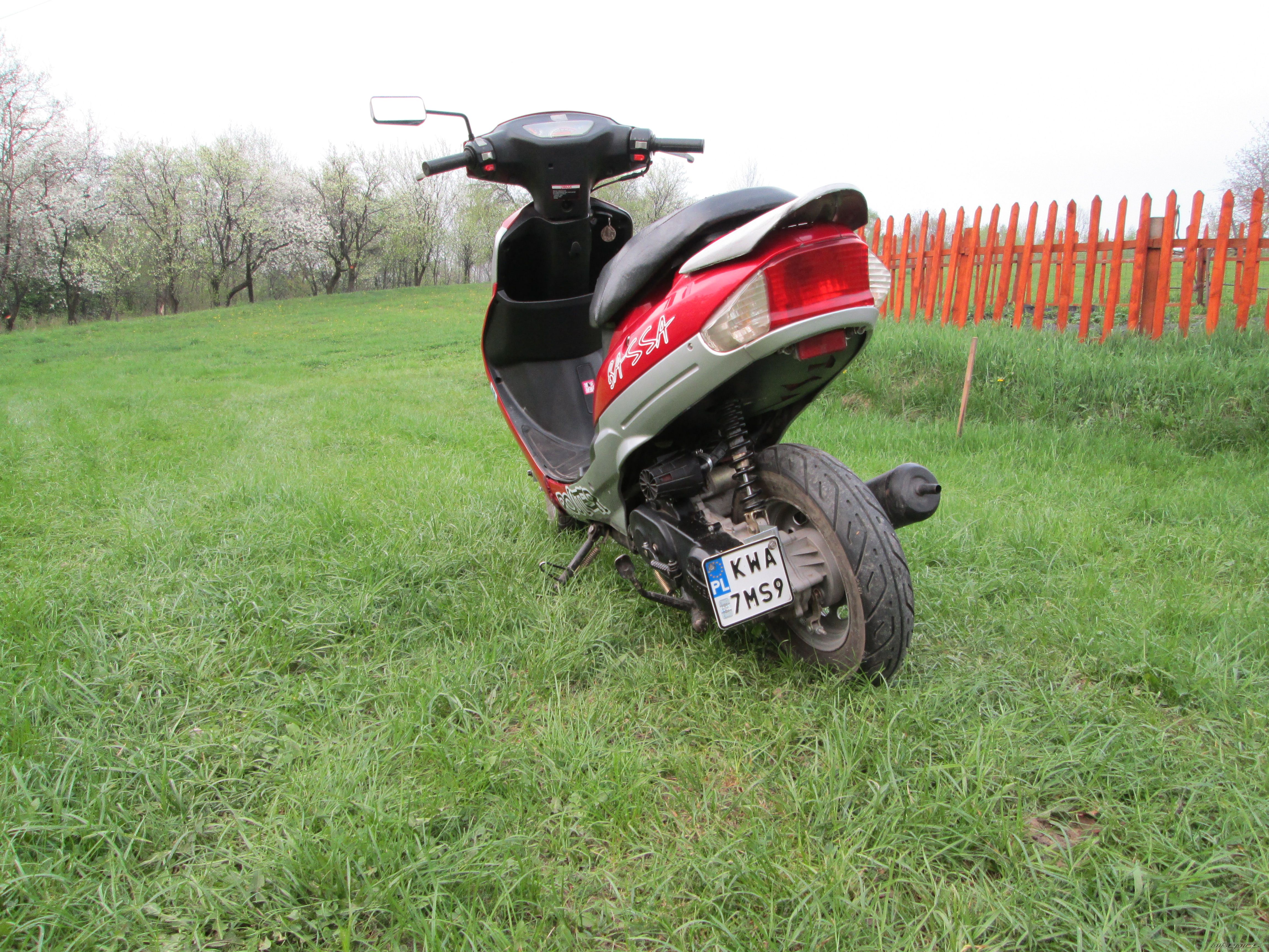 Photo 2548292