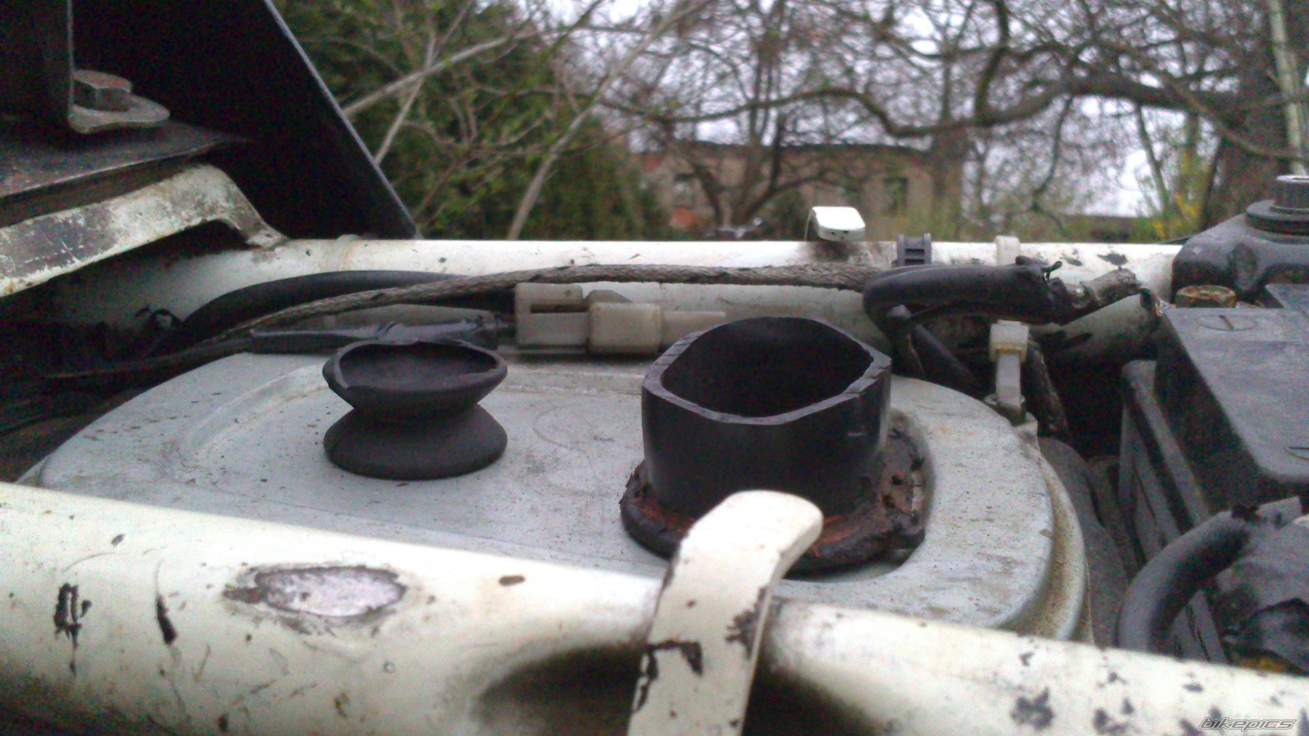 Photo 2548293