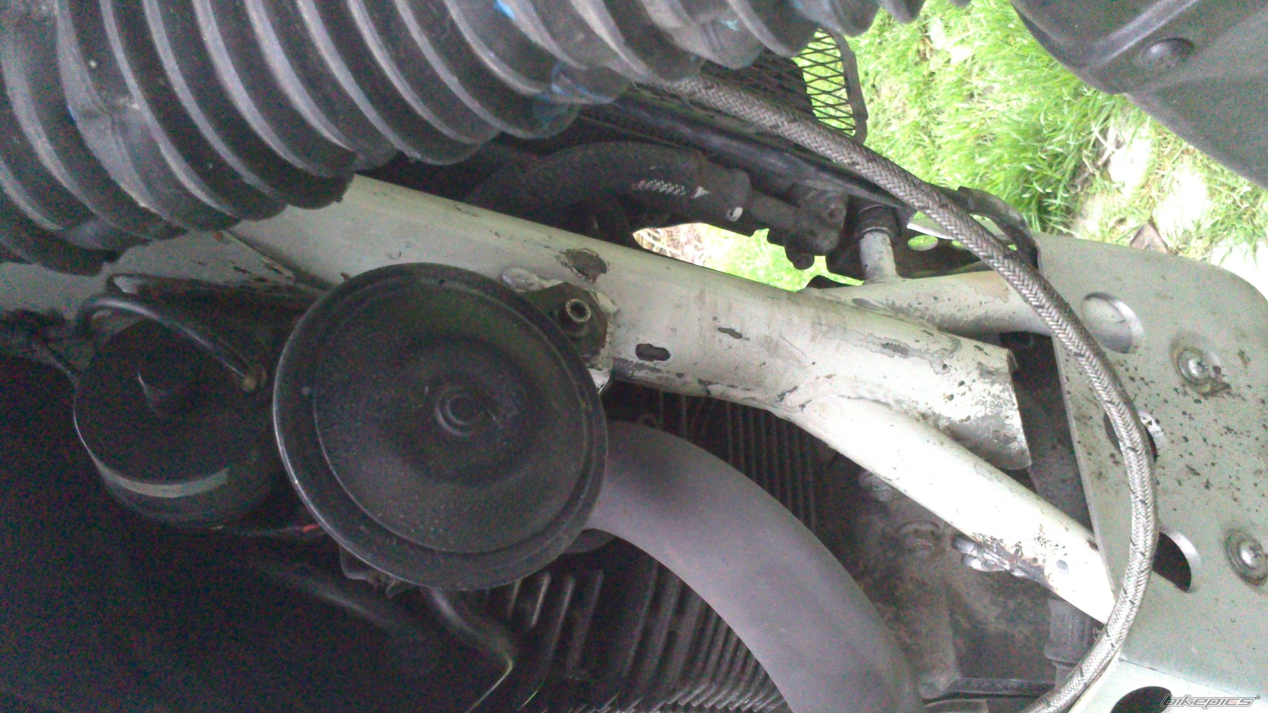 Photo 2548295