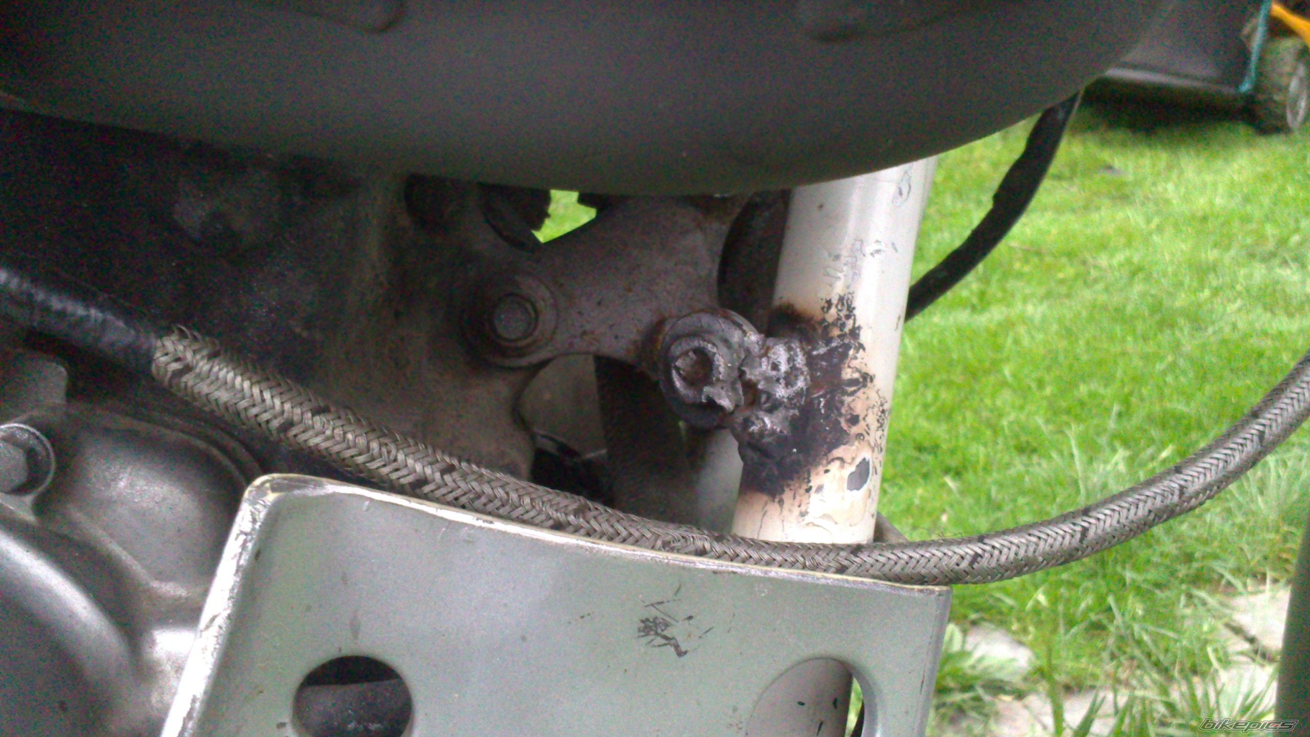 Photo 2548296