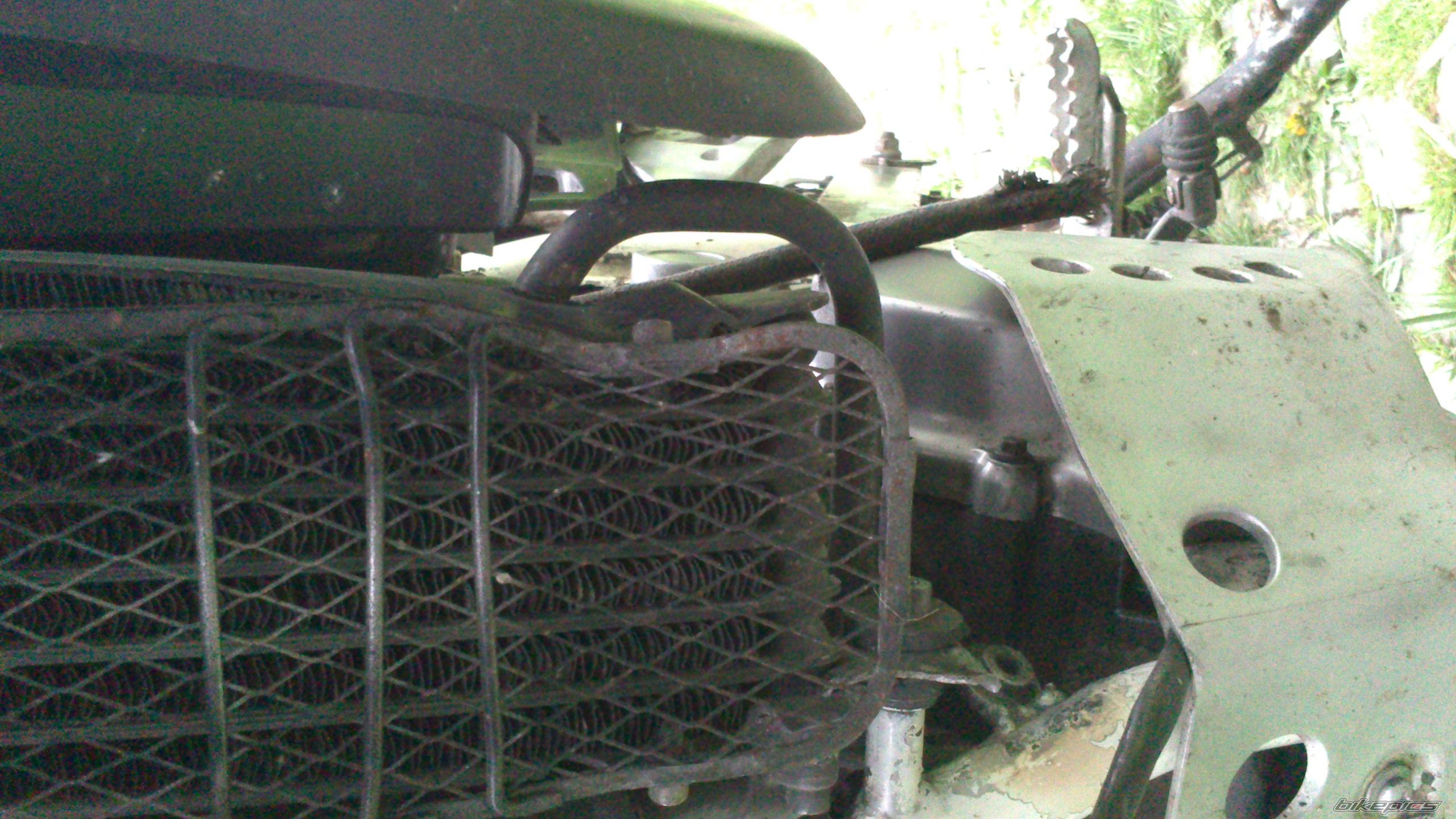 Photo 2548302