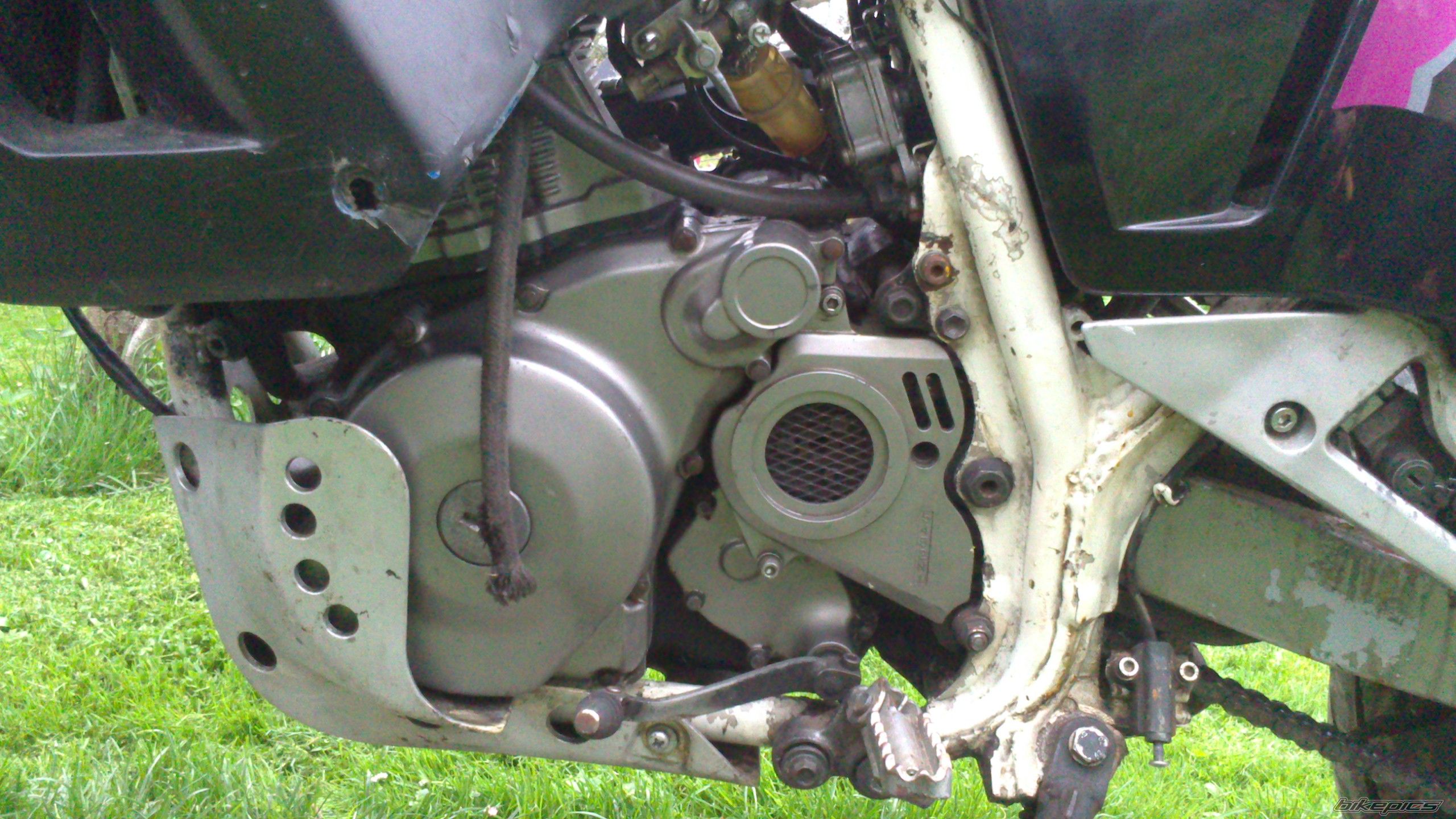 Photo 2548305