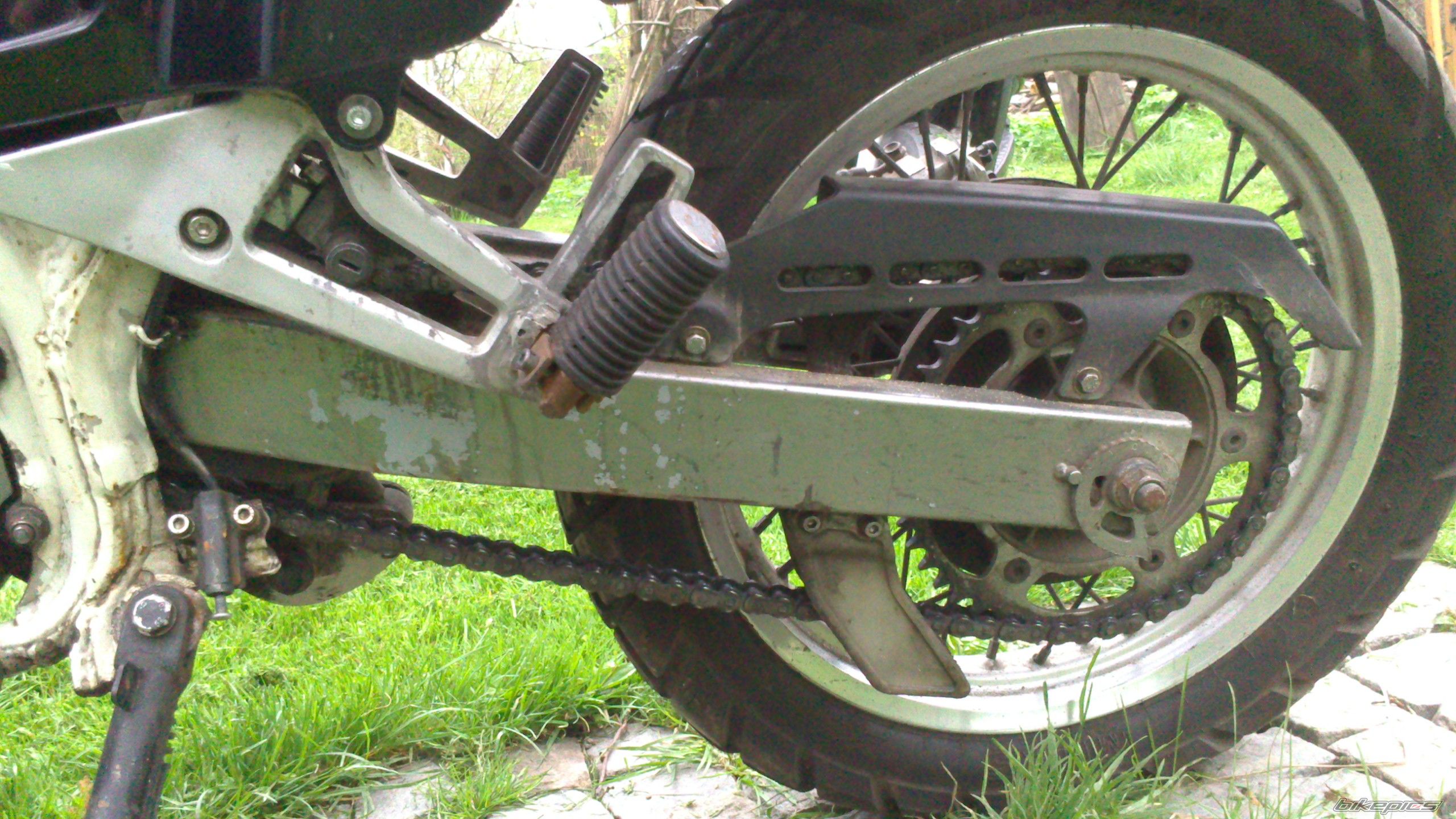 Photo 2548307