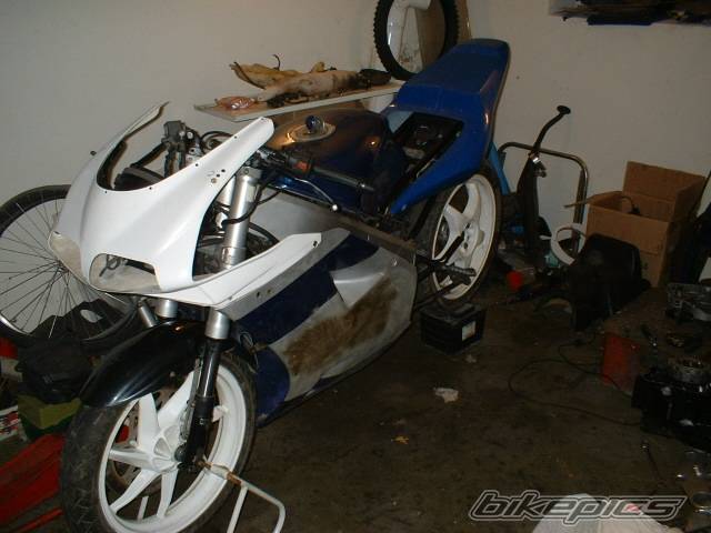 Photo 254839