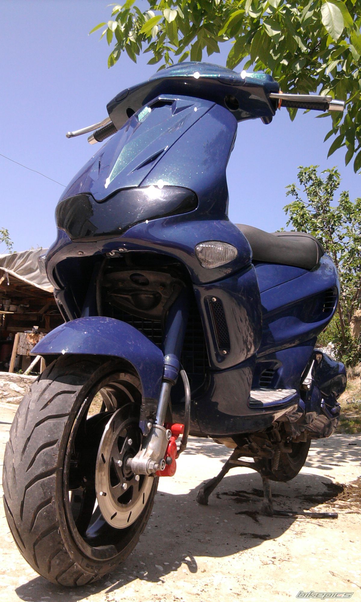 Photo 2548421
