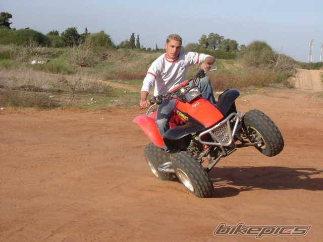 Photo 254843