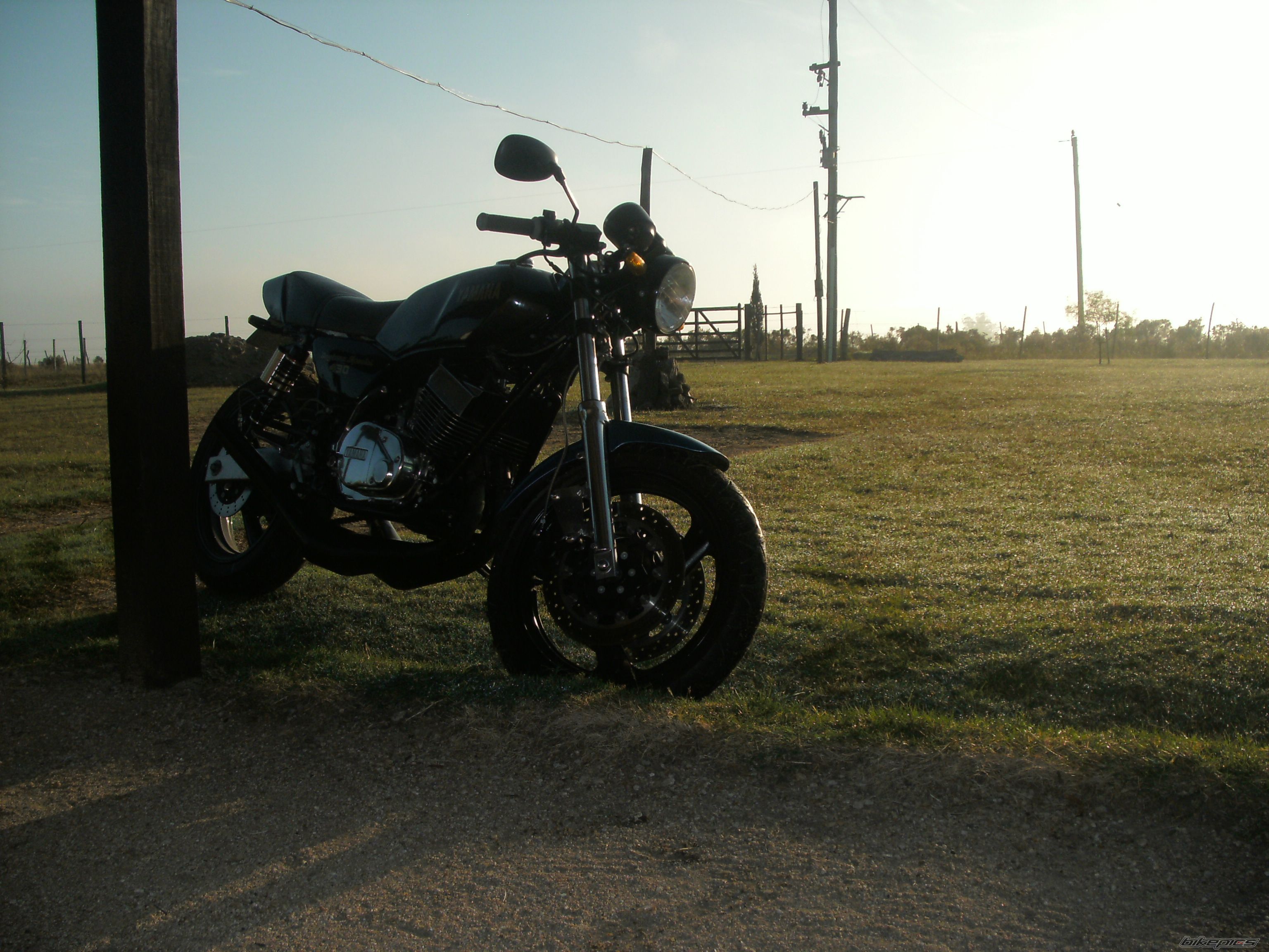 Photo 2548460