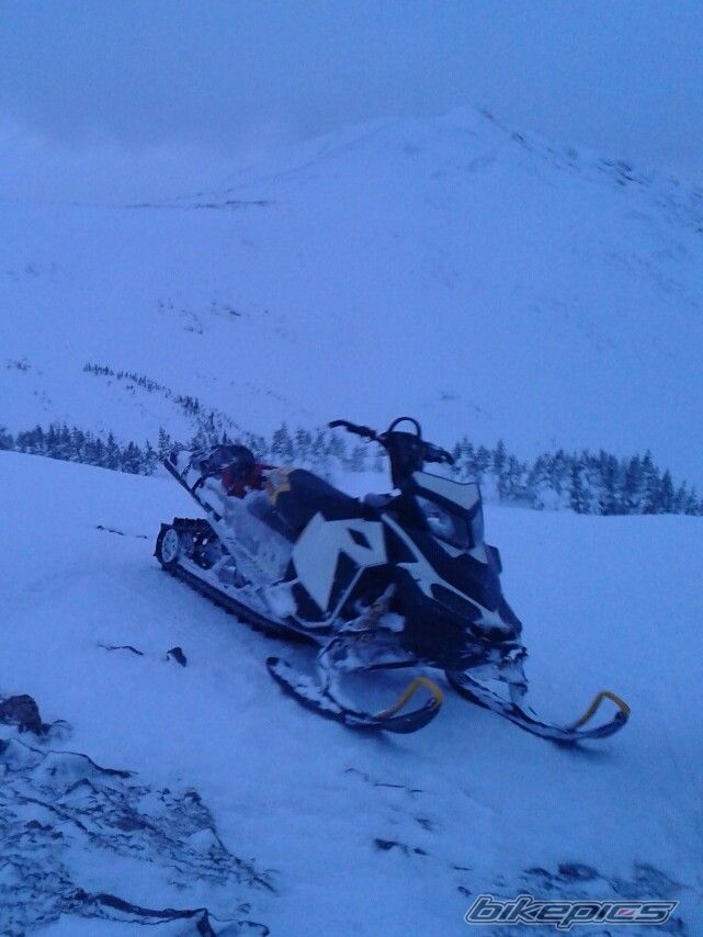 Photo 2548485