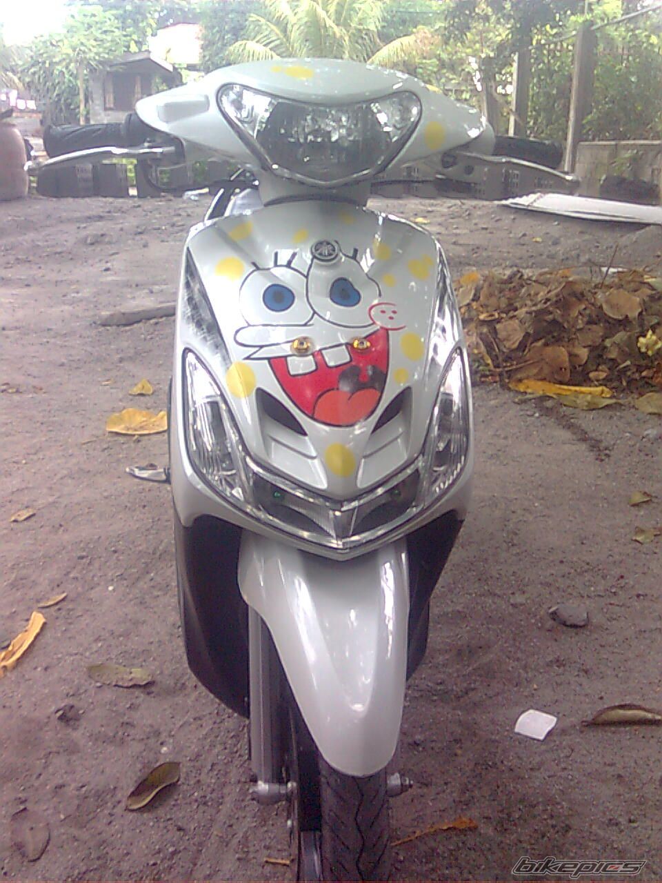 Photo 2548523