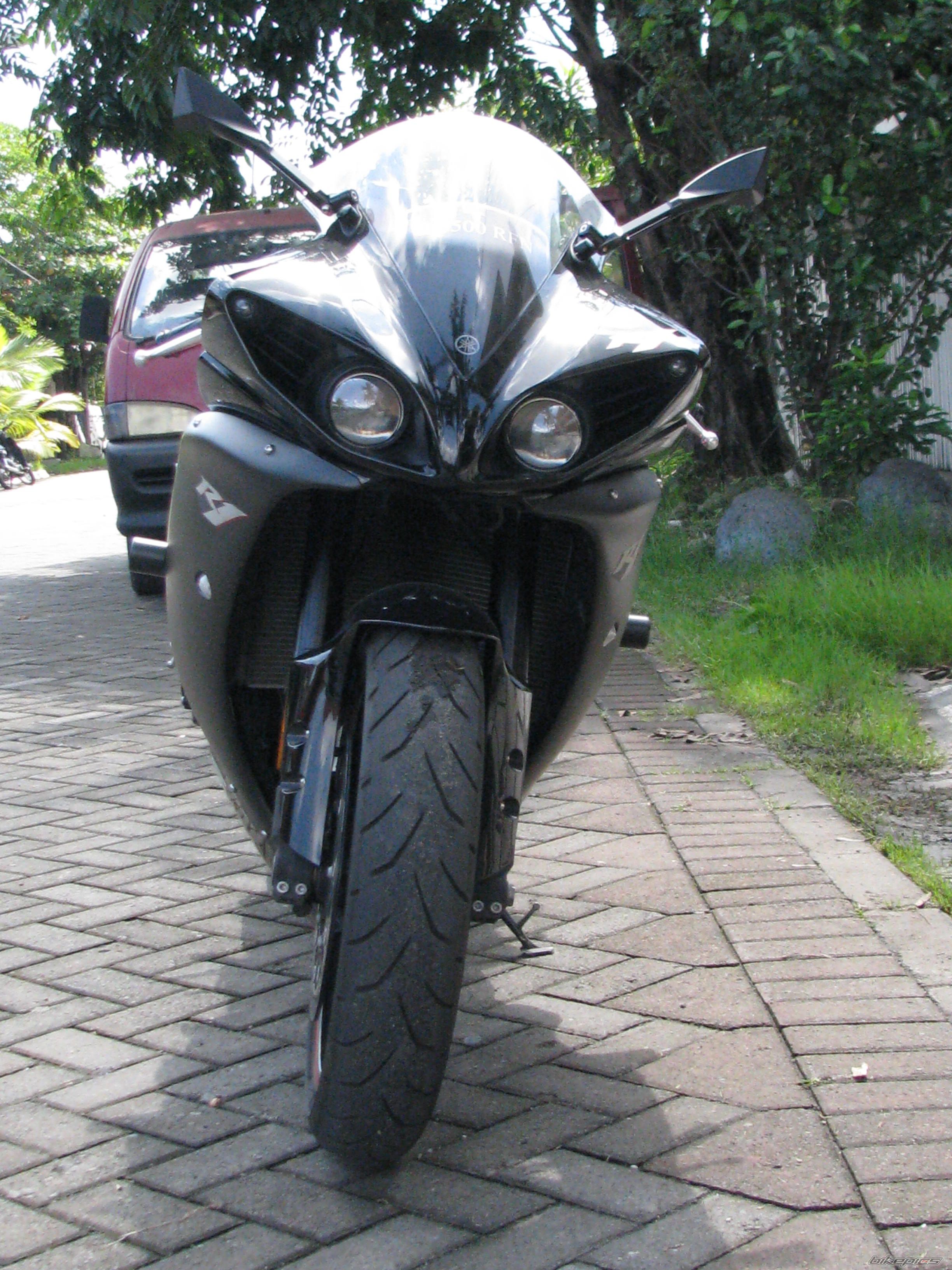 Photo 2548569