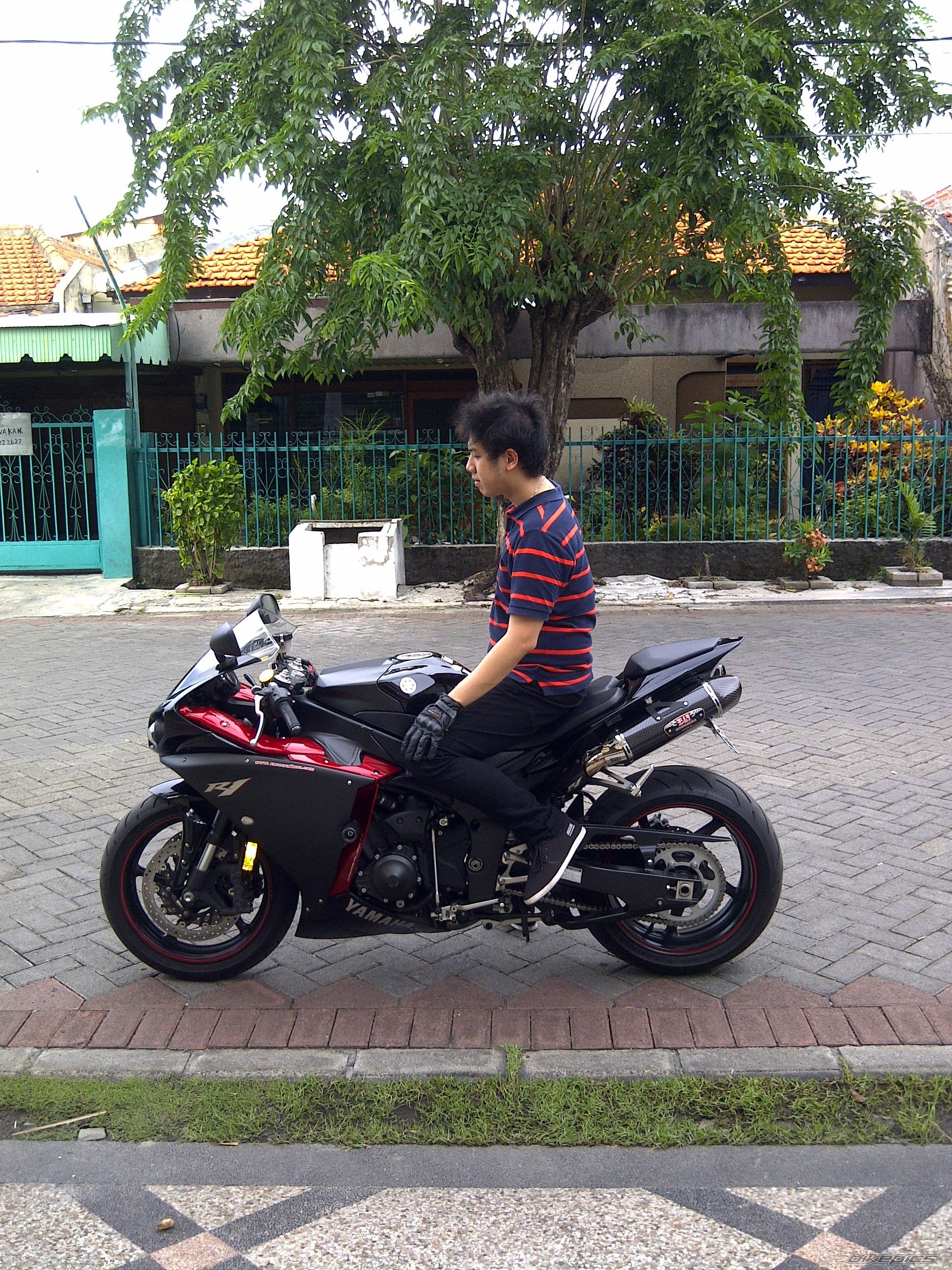 Photo 2548570