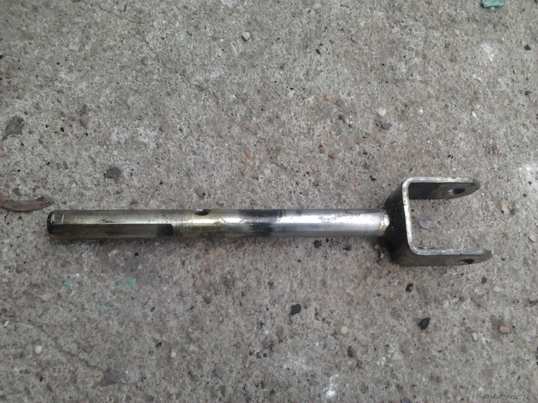 Photo 2548694