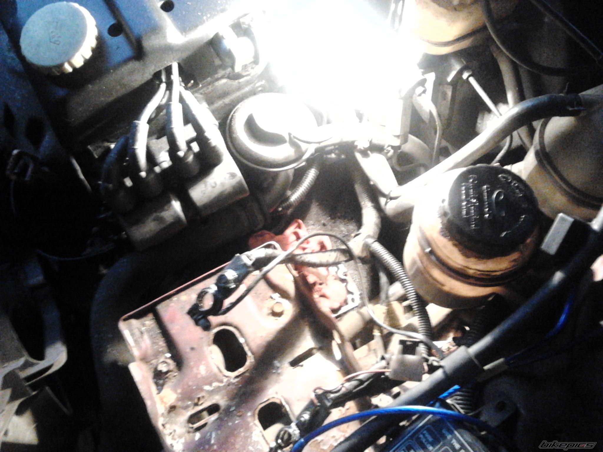 Photo 2548695