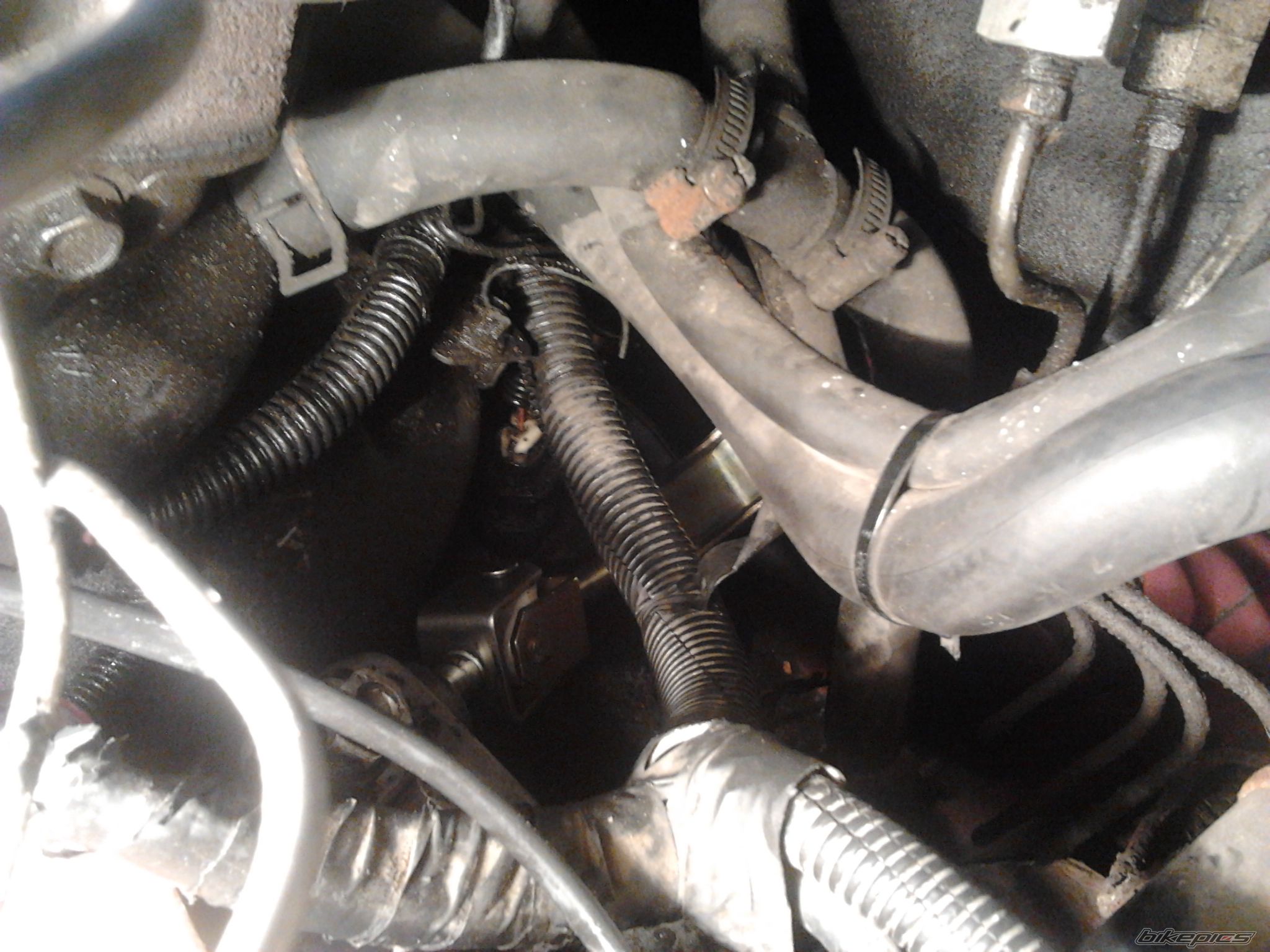 Photo 2548698
