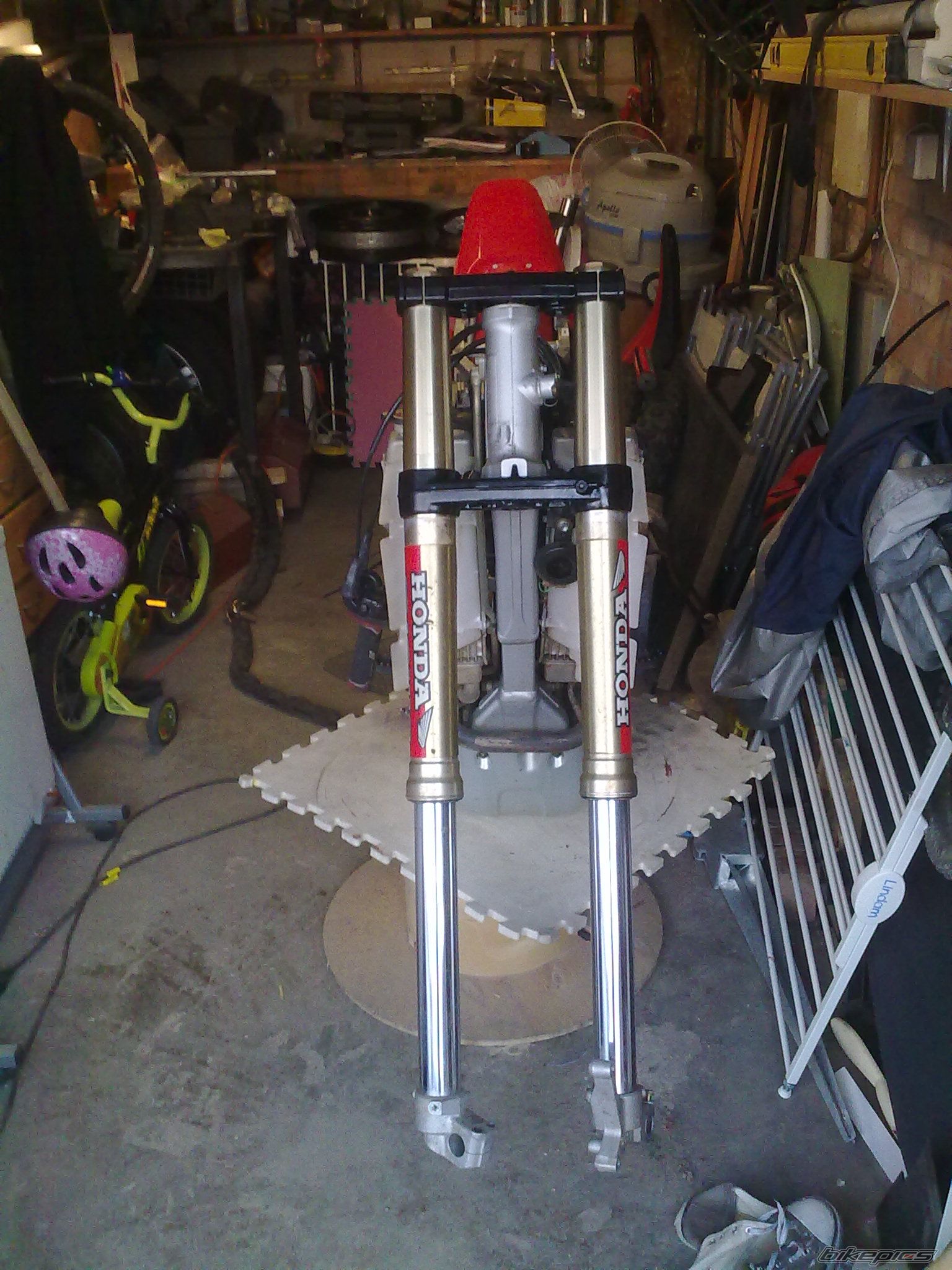 Photo 2548729