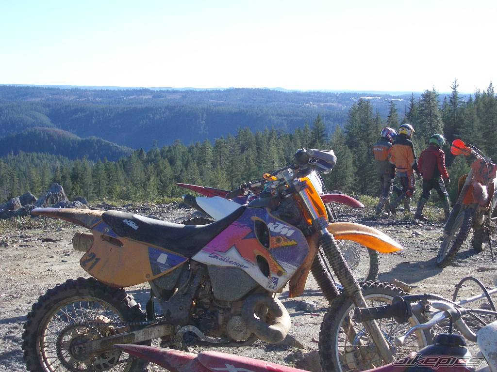 Photo 254875
