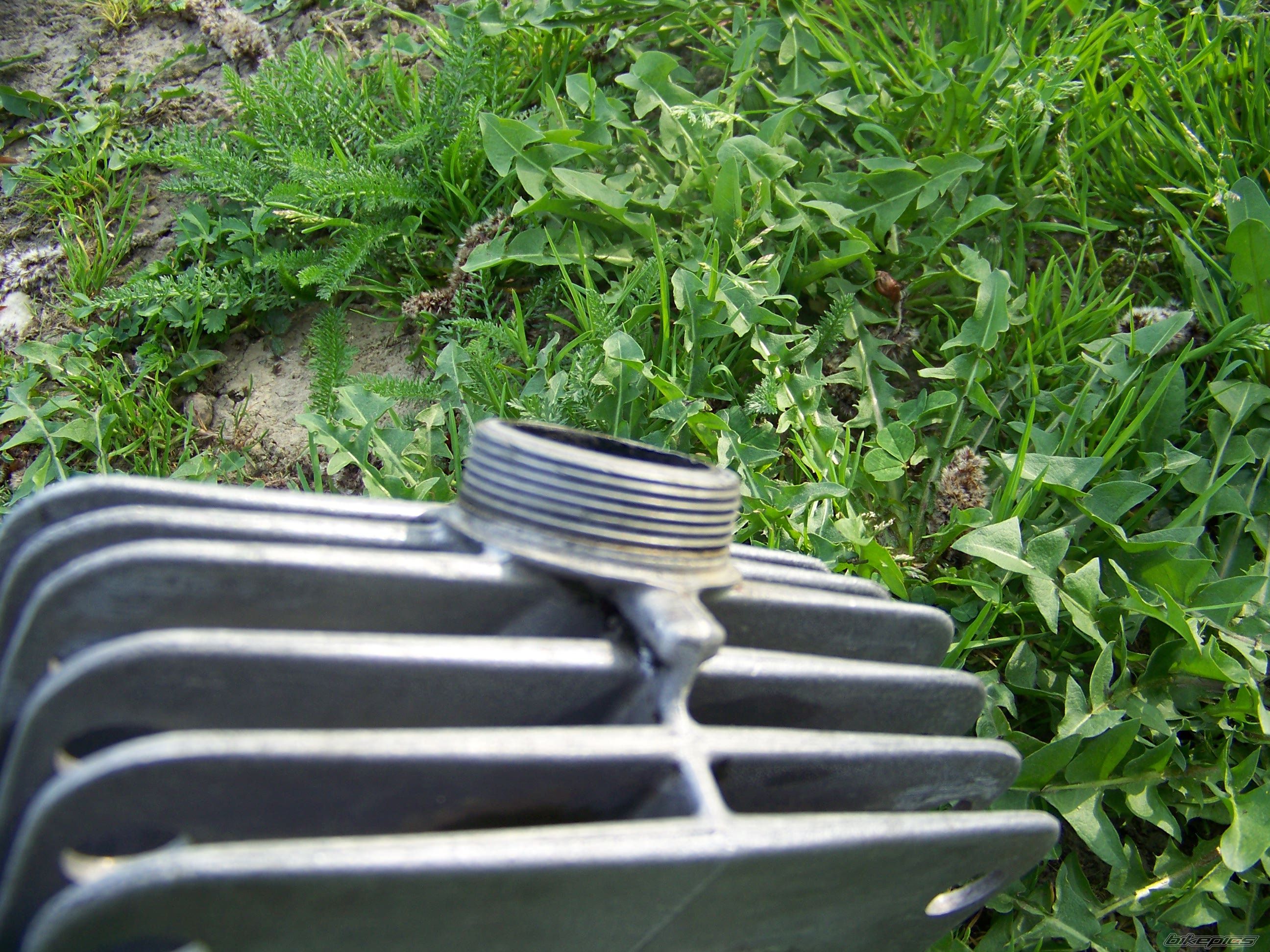Photo 2548764