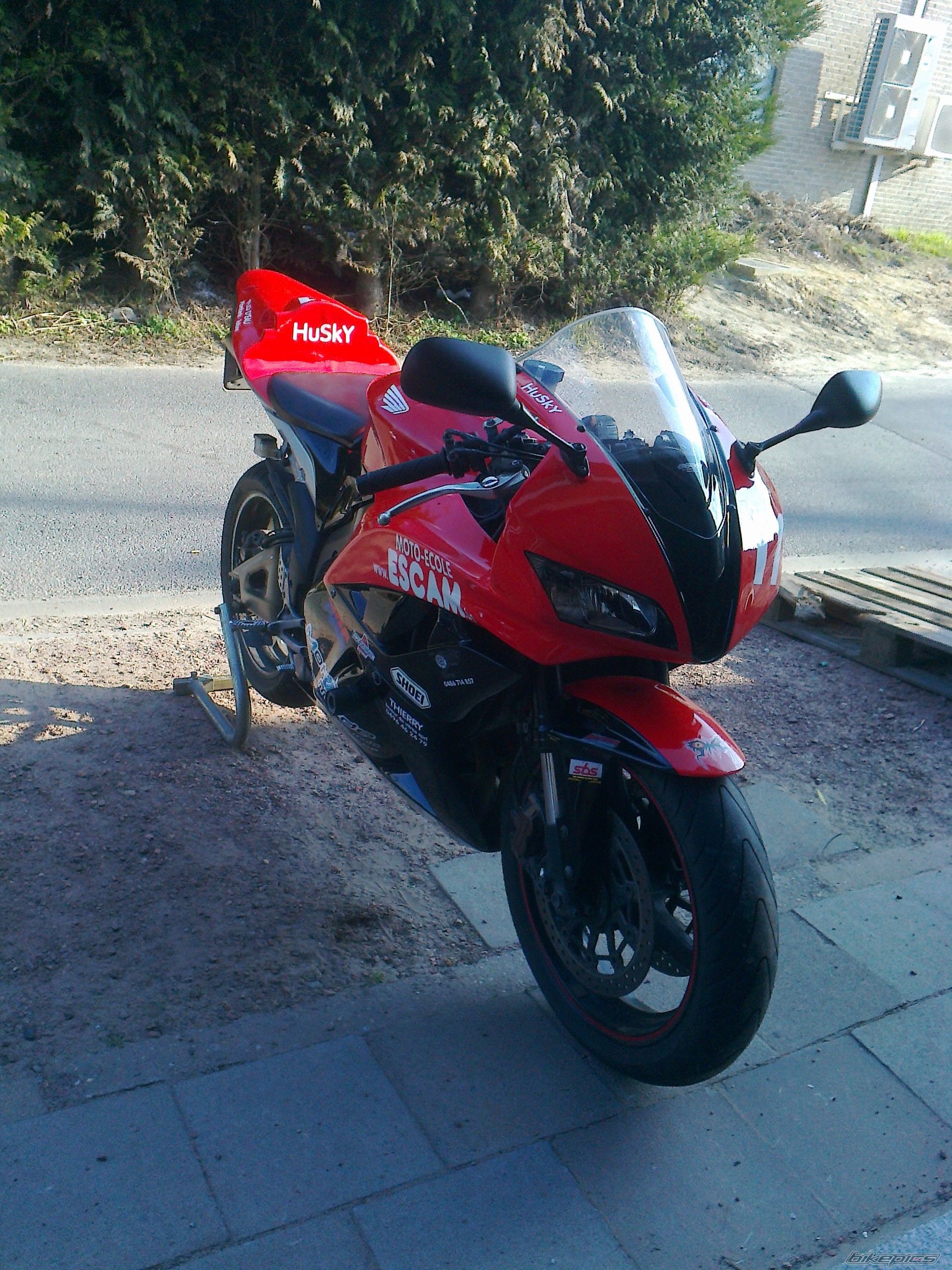 Photo 2548787