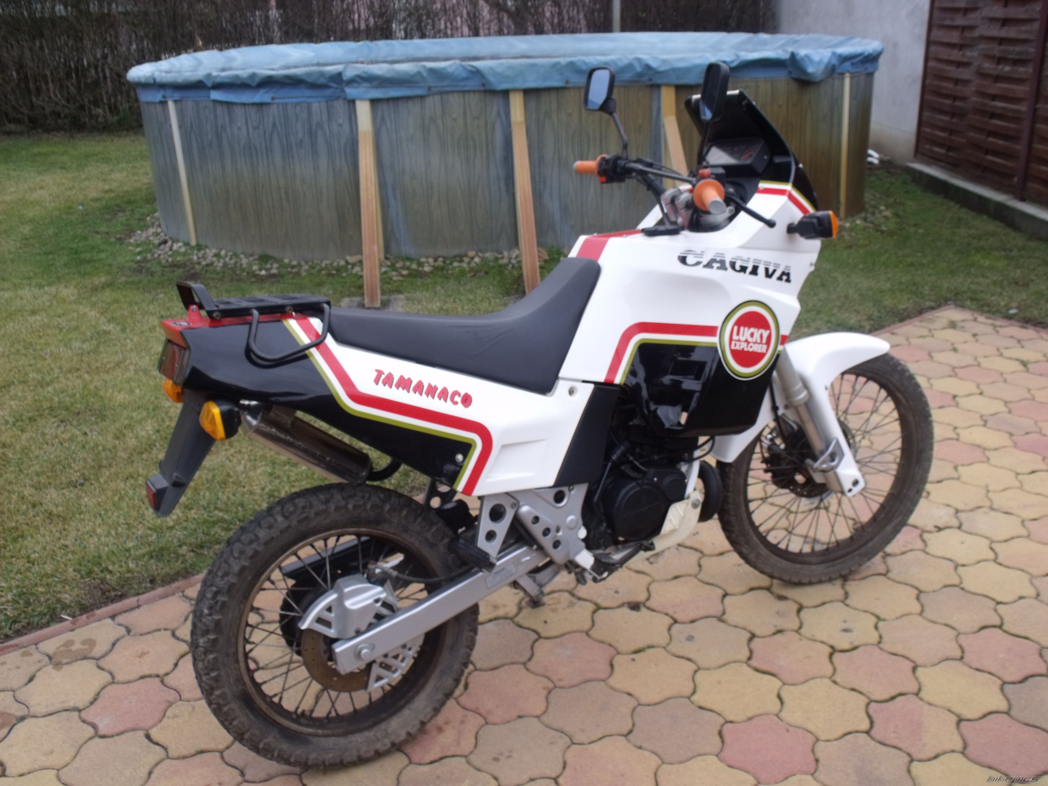 Photo 2548820